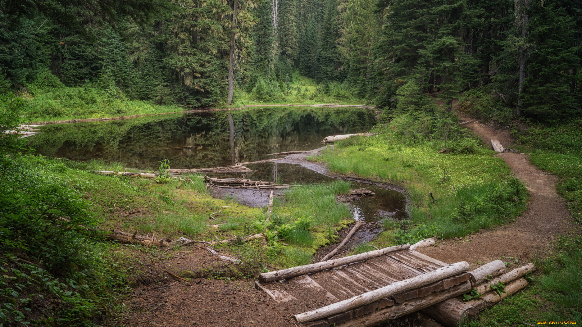 природа, реки, озера, простор