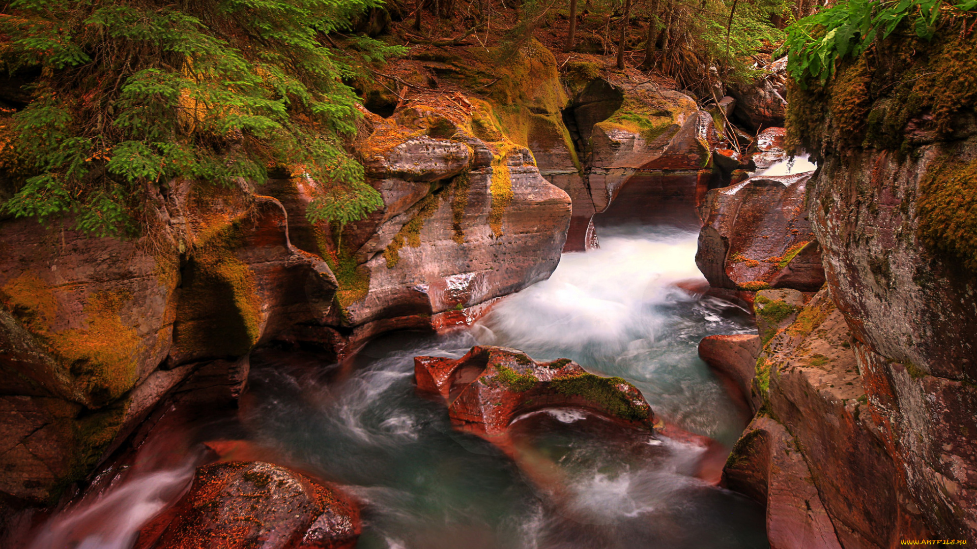 природа, реки, озера, простор