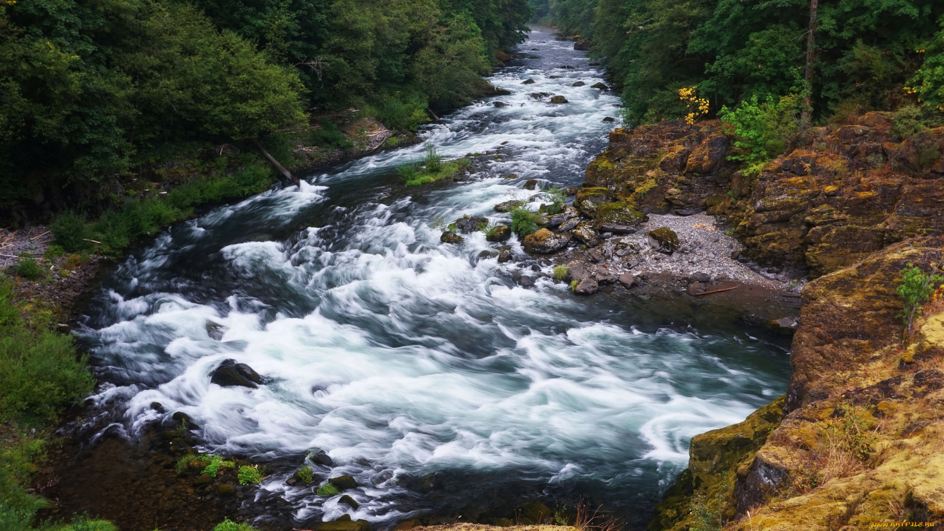 природа, реки, озера, простор