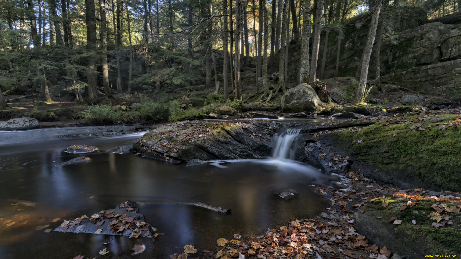 природа, реки, озера, простор