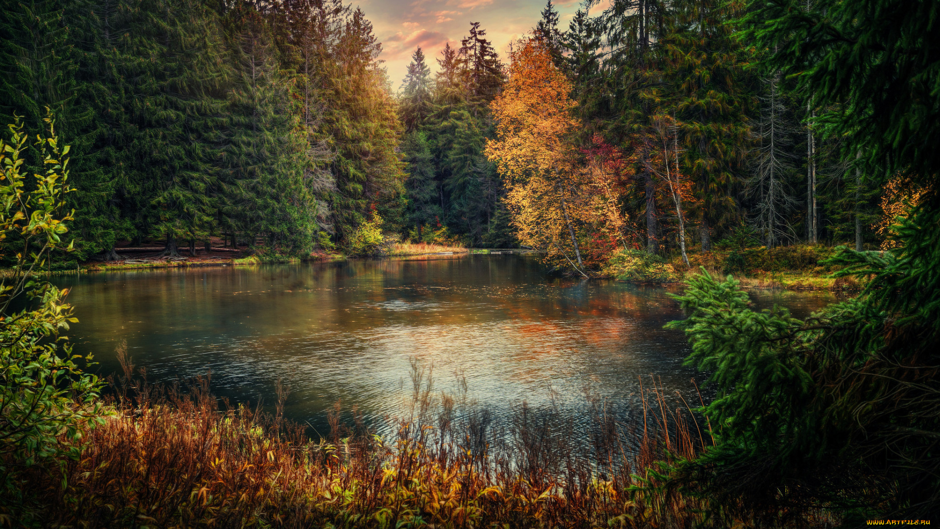 природа, реки, озера, простор