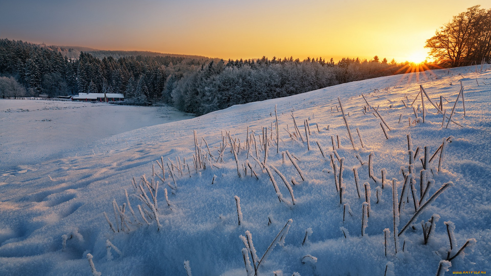 природа, зима, простор