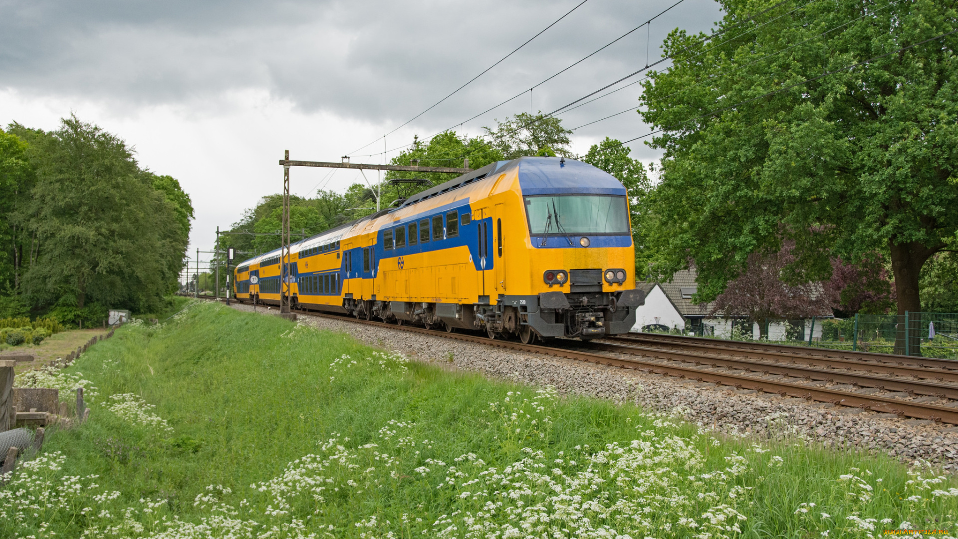 техника, электровозы, локомотив, состав