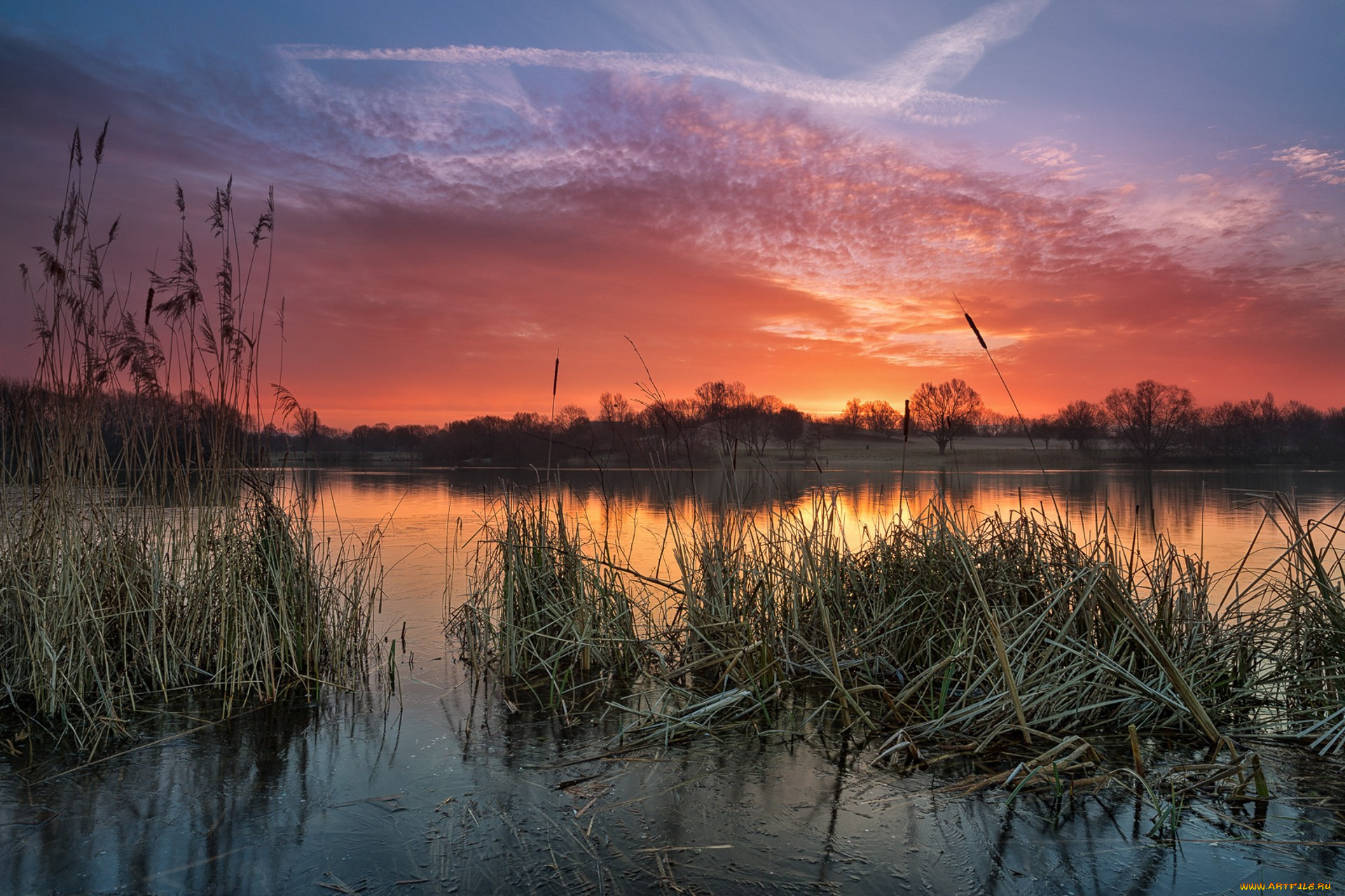 природа, реки, озера, простор