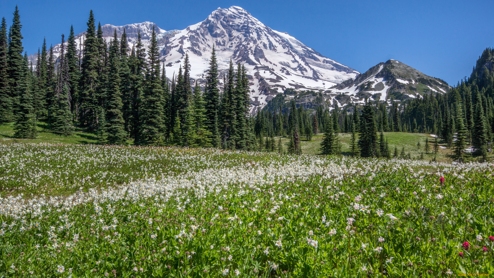 природа, горы, простор