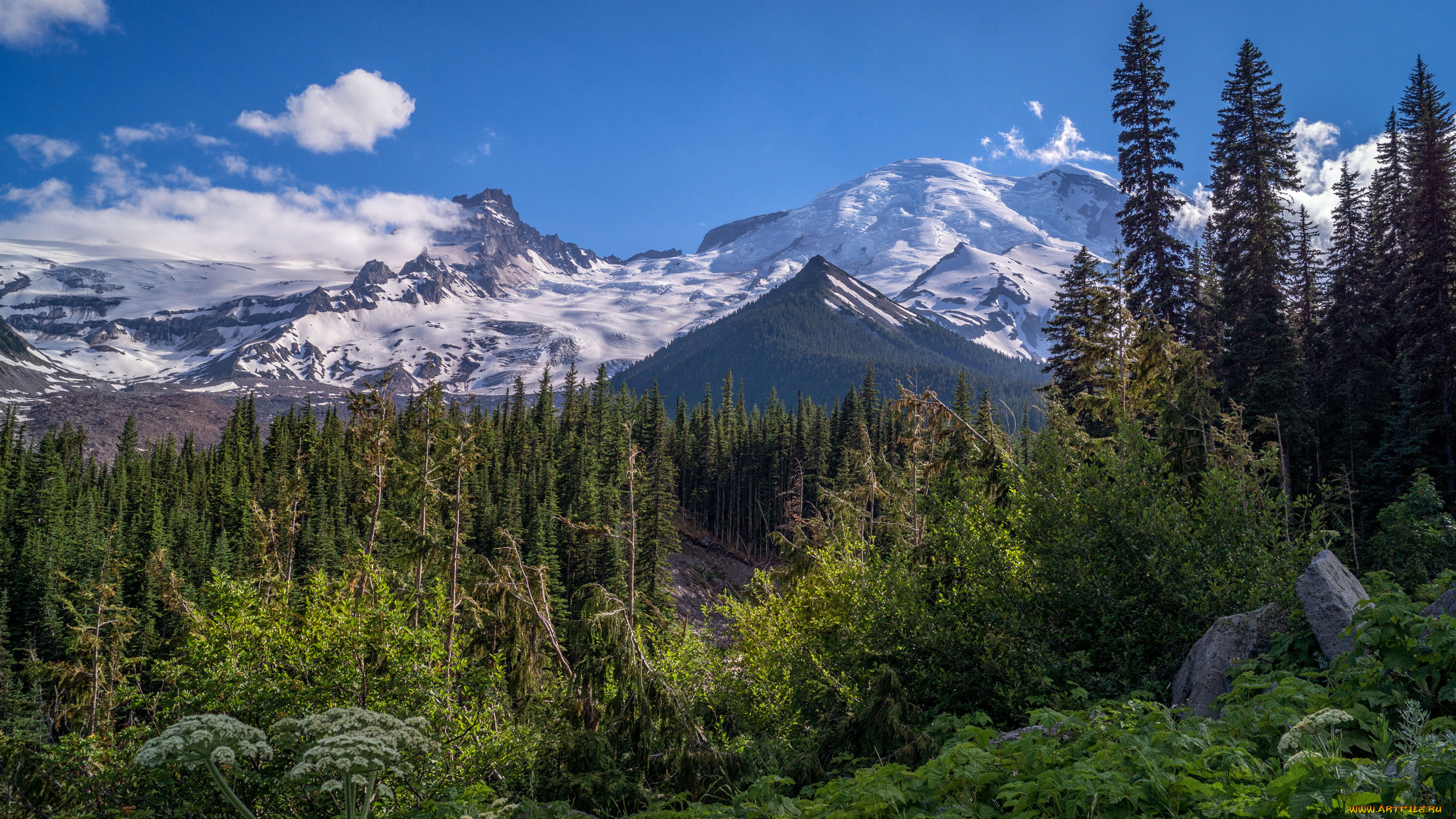 природа, горы, простор