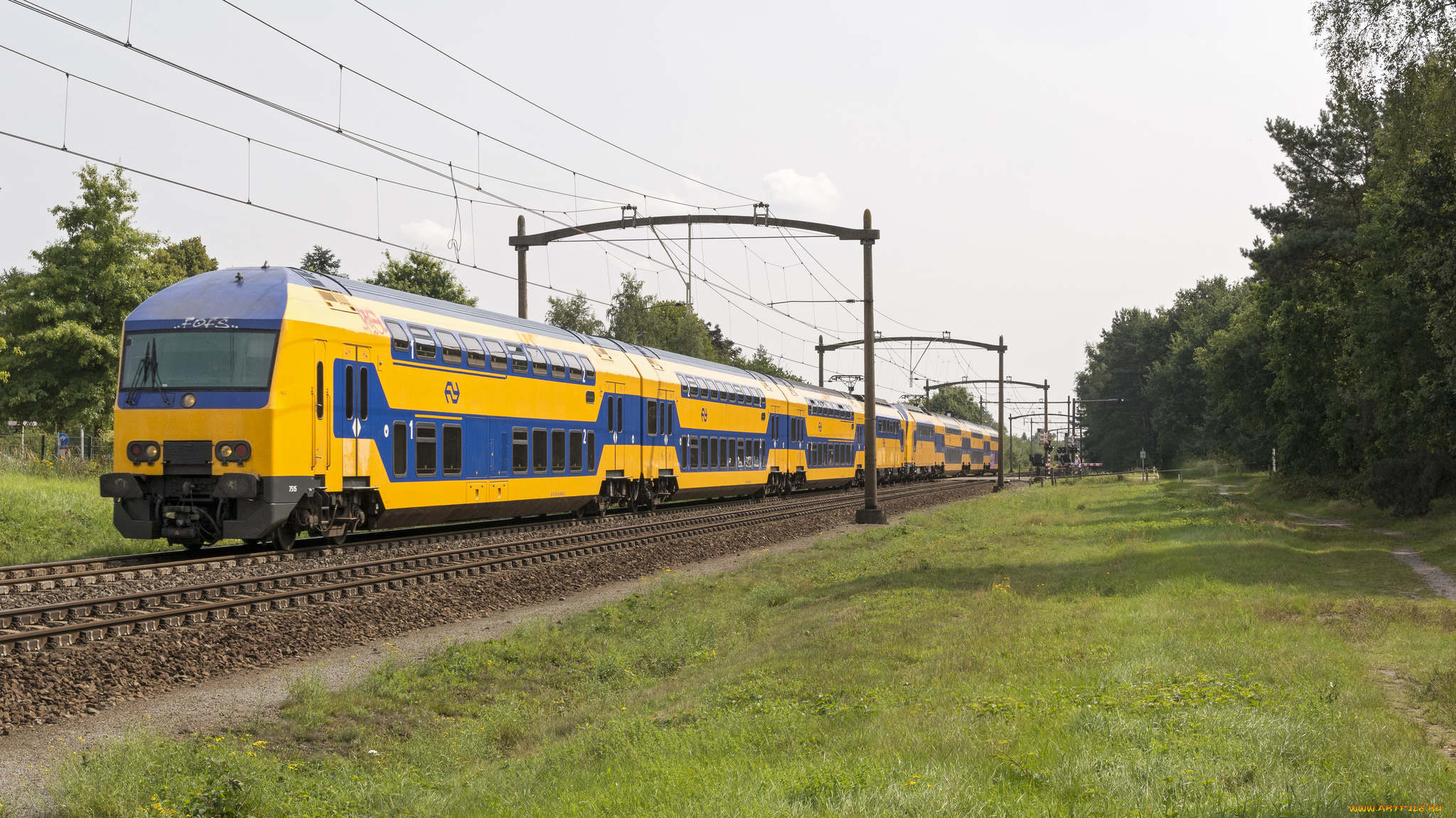 техника, электровозы, локомотив, состав