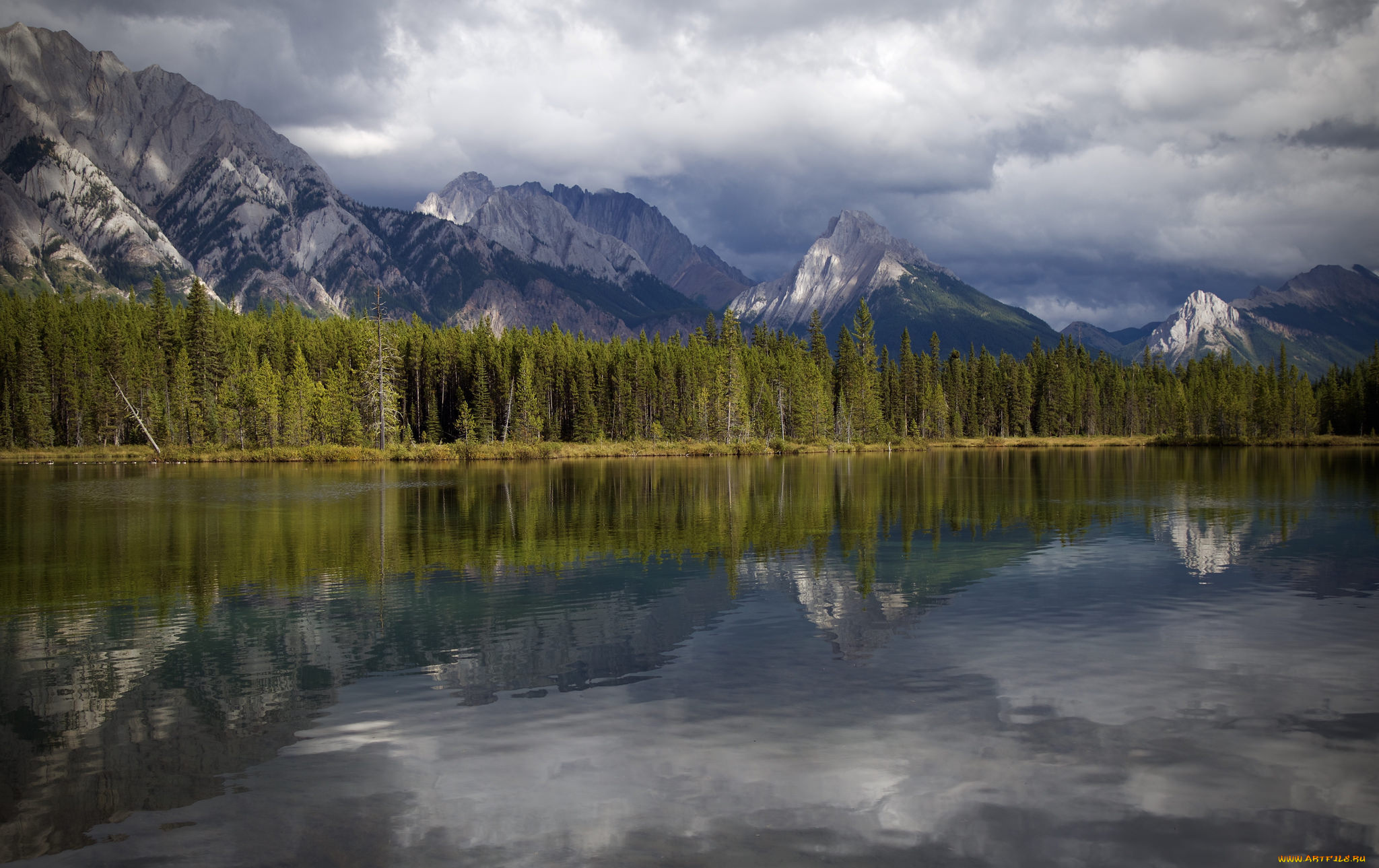 природа, реки, озера, простор