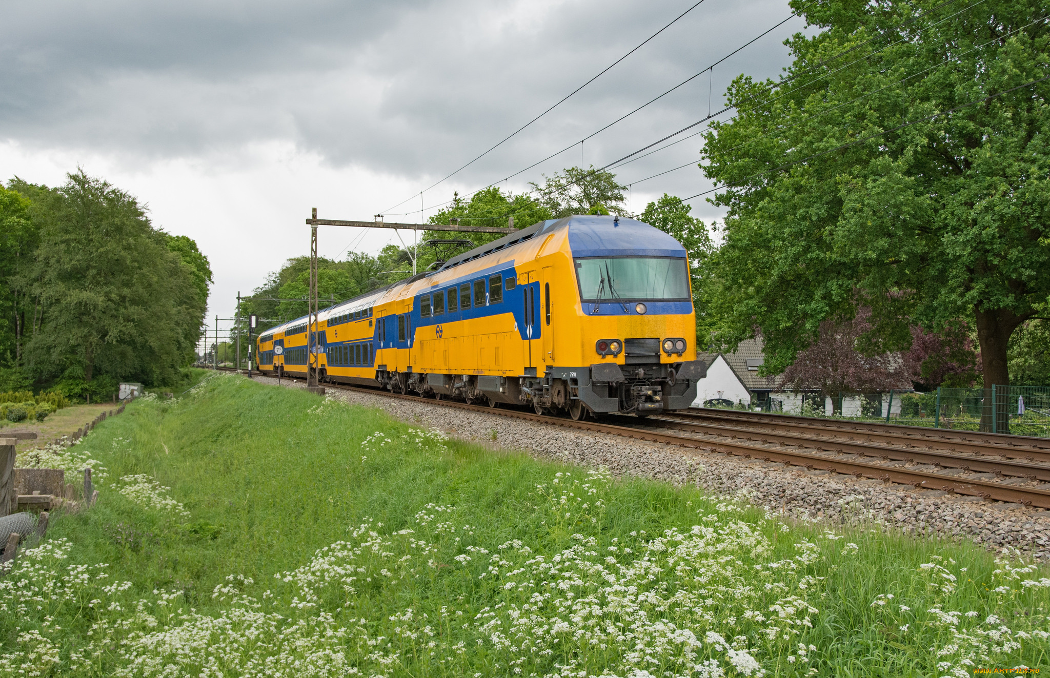 техника, электровозы, локомотив, состав