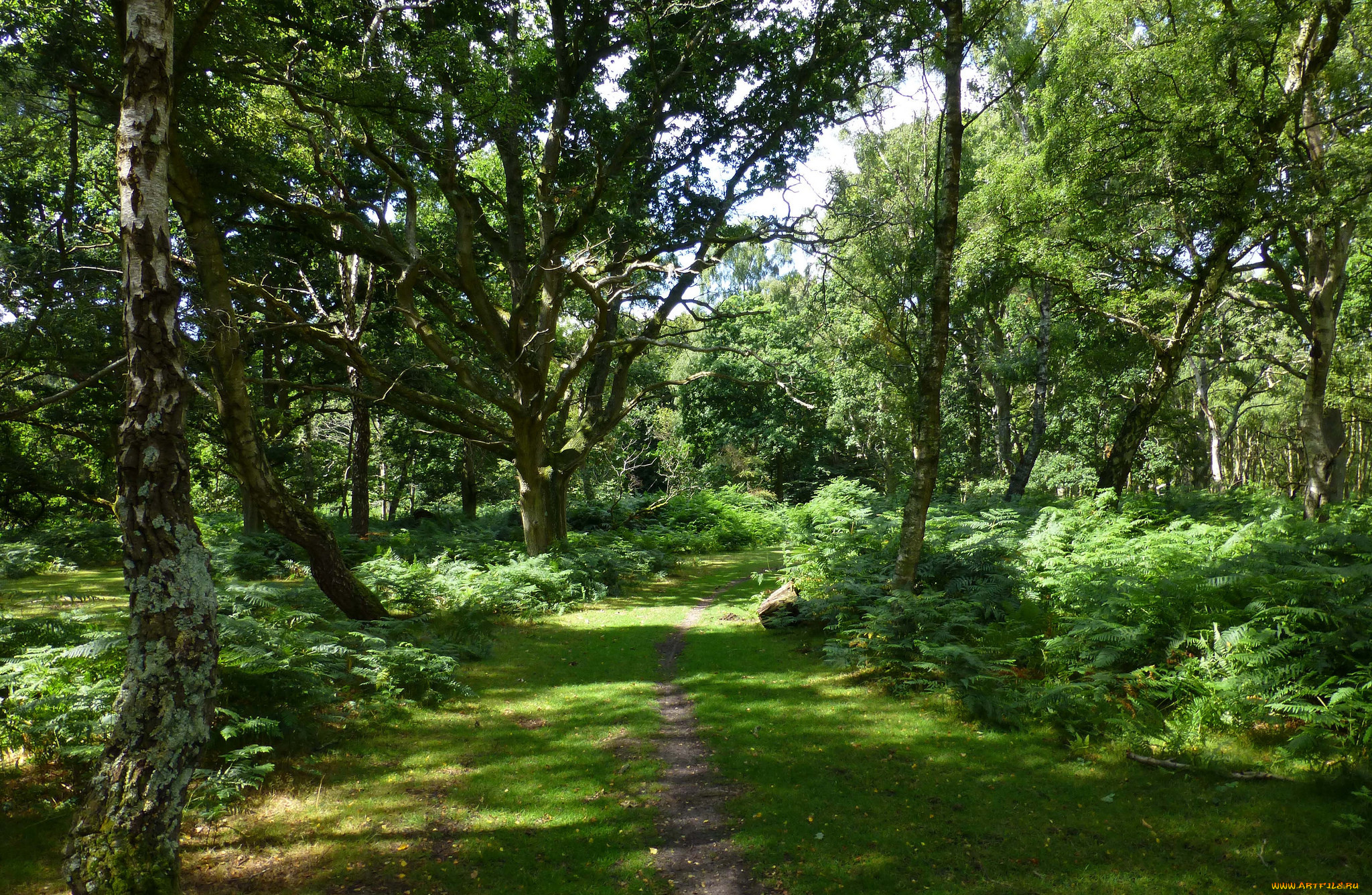 природа, дороги, простор