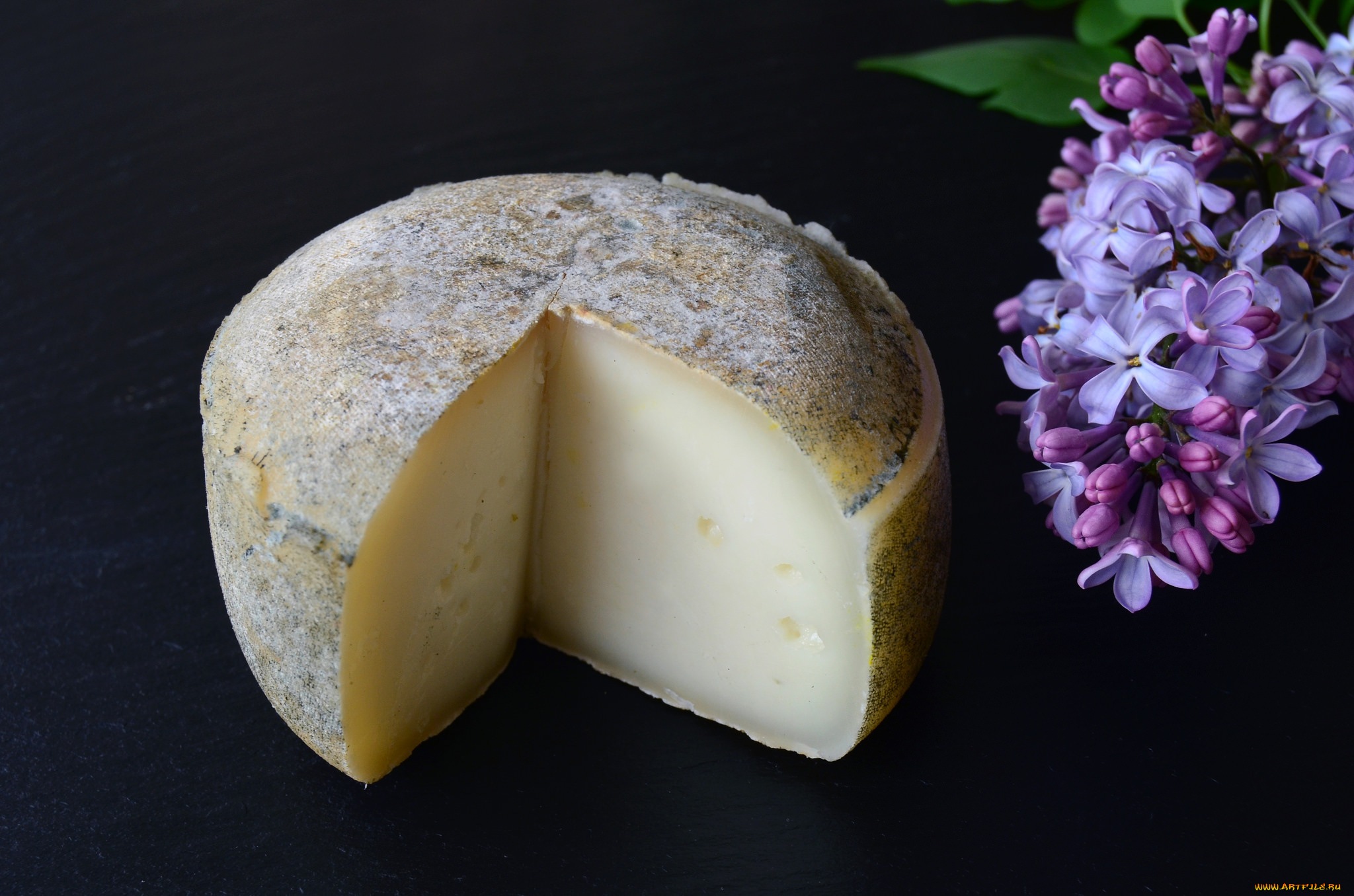 еда, сырные, изделия, сыр