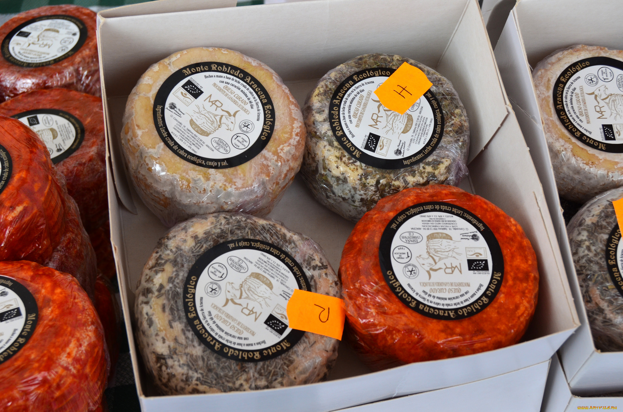 еда, сырные, изделия, сыр