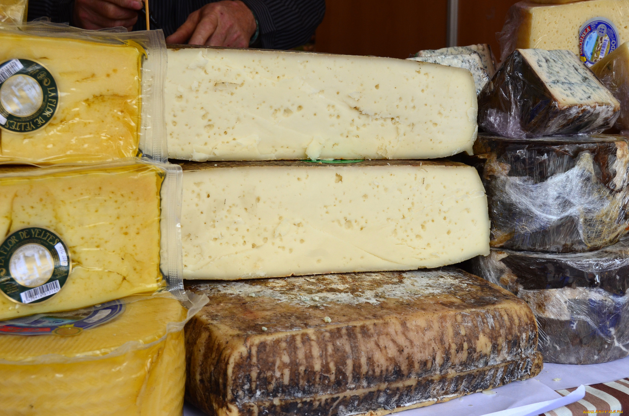 еда, сырные, изделия, сыр