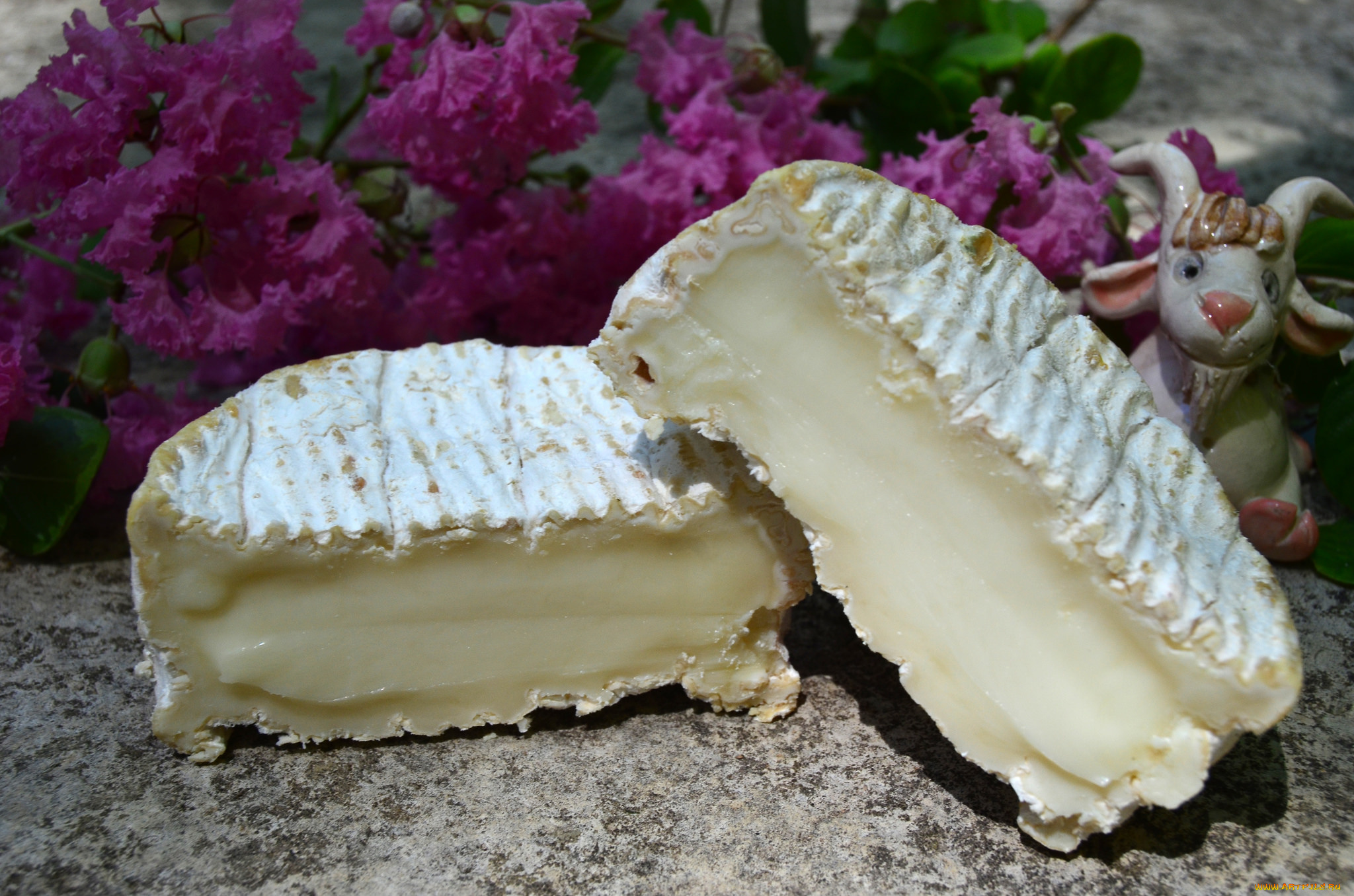 еда, сырные, изделия, сыр