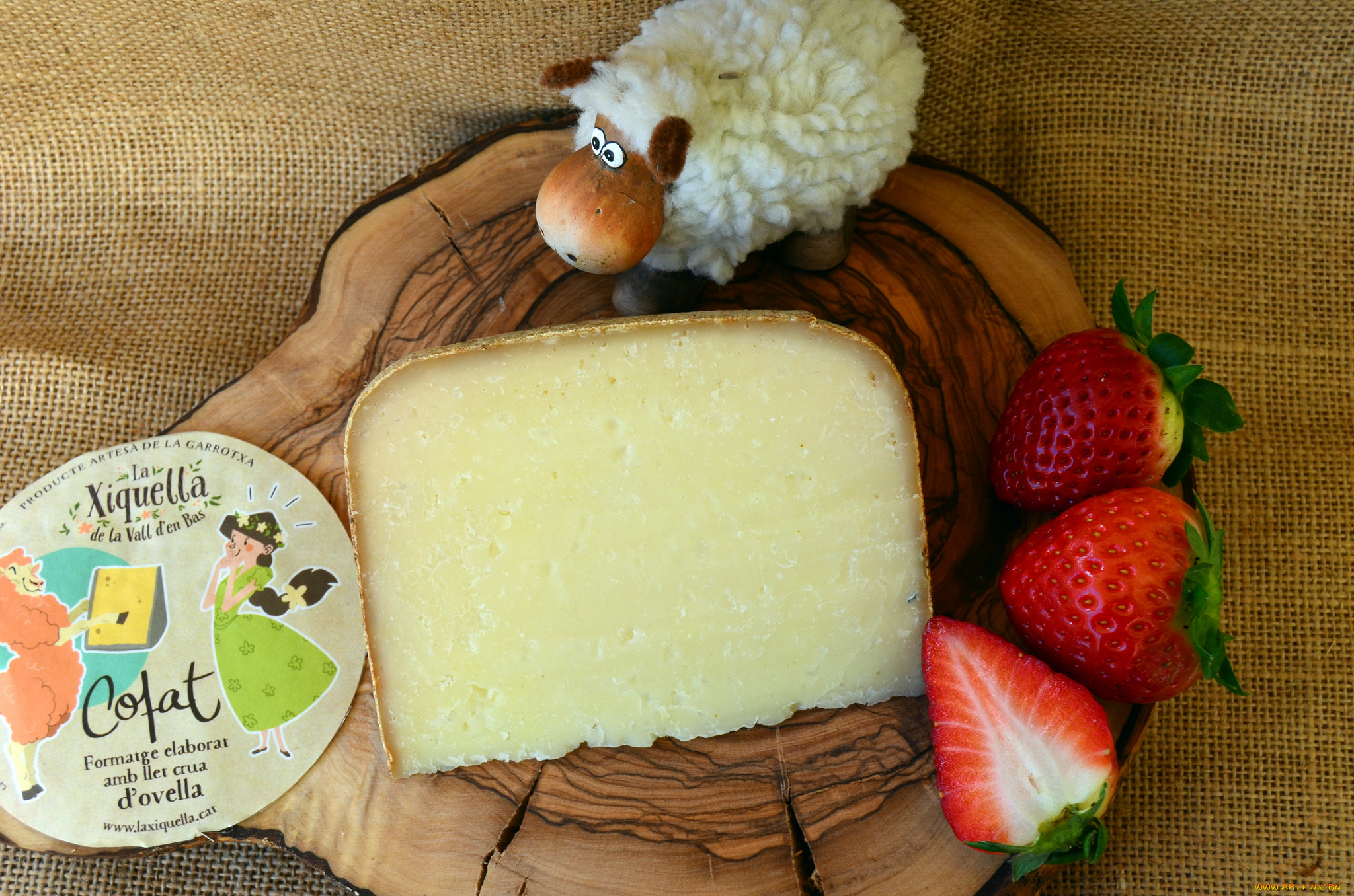 еда, сырные, изделия, сыр