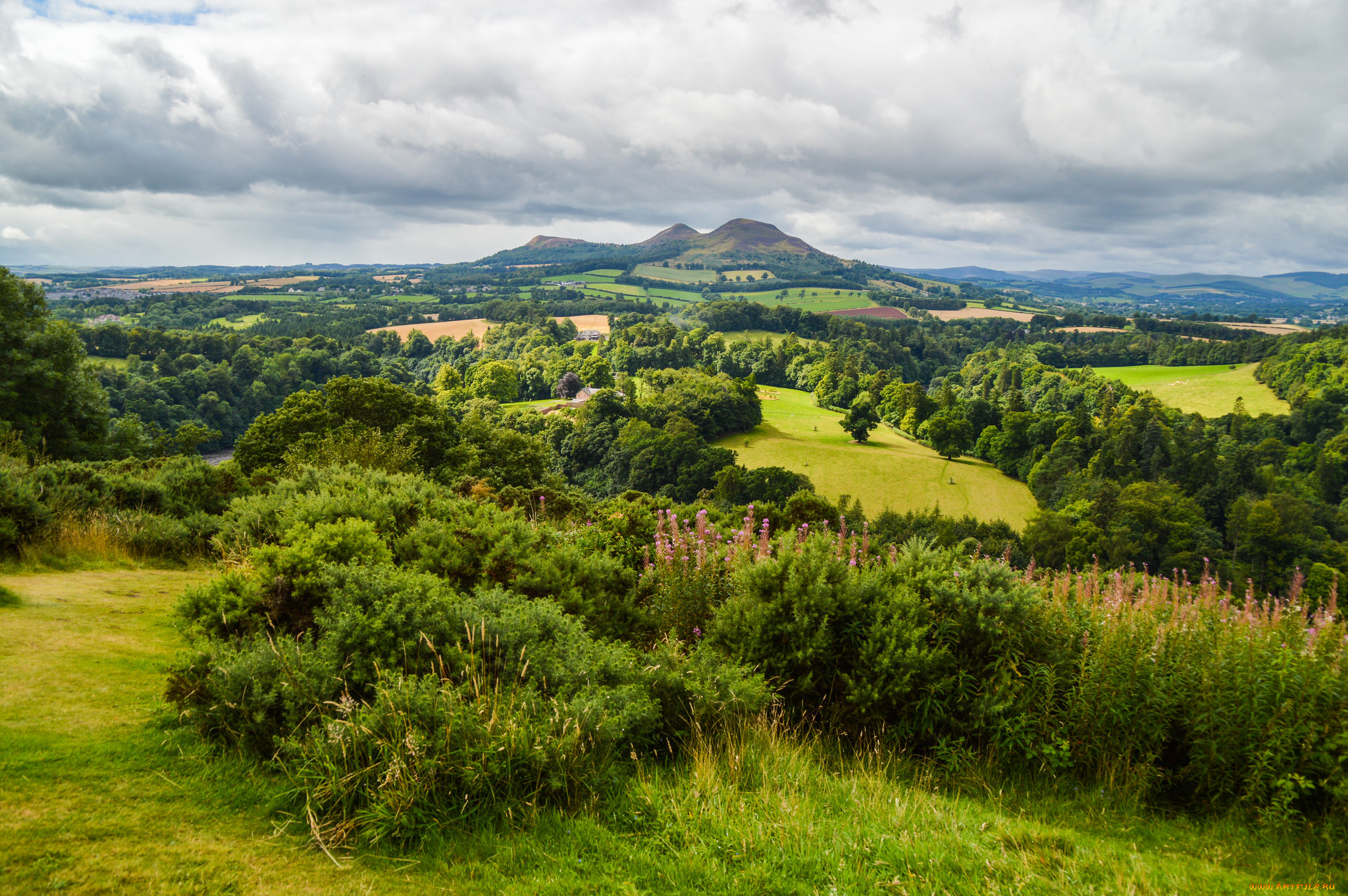 природа, пейзажи, простор