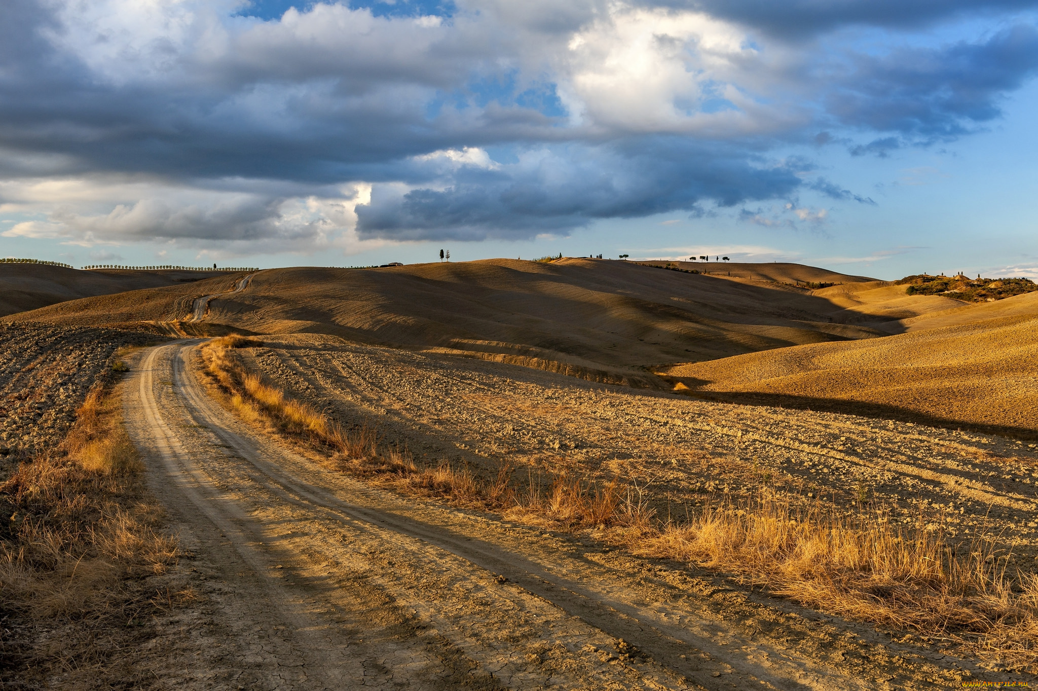 природа, дороги, простор