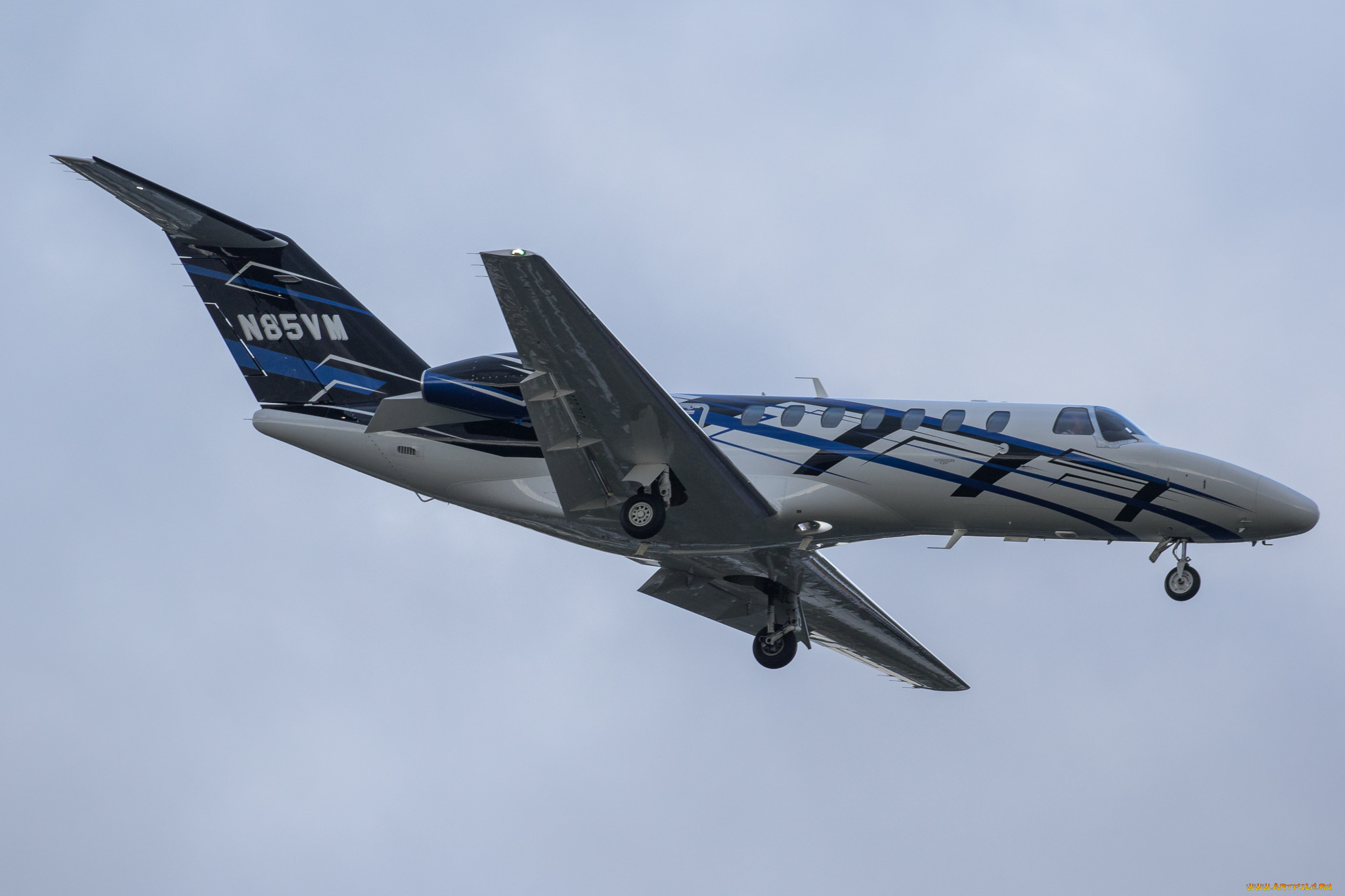 cessna, citation, авиация, пассажирские, самолёты, авиаперевозчик