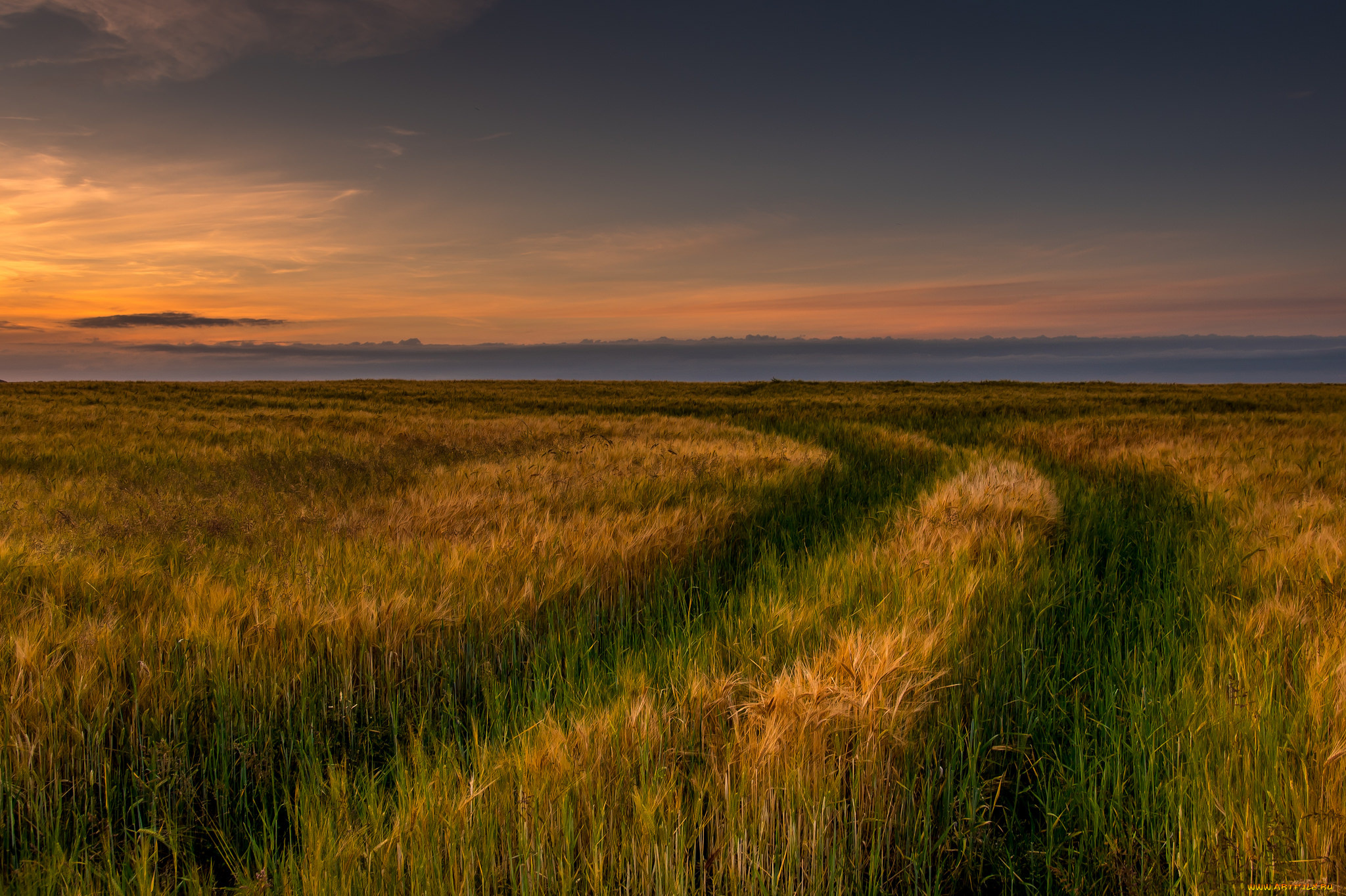 природа, дороги, простор