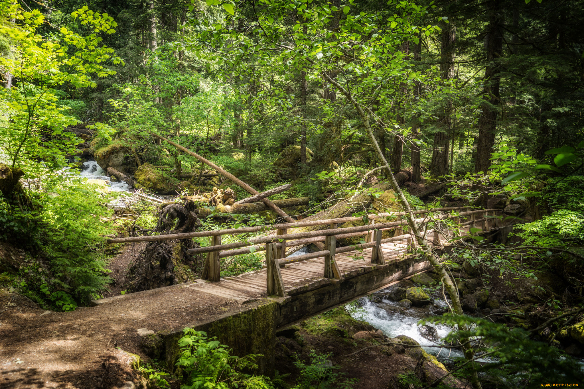 природа, дороги, простор