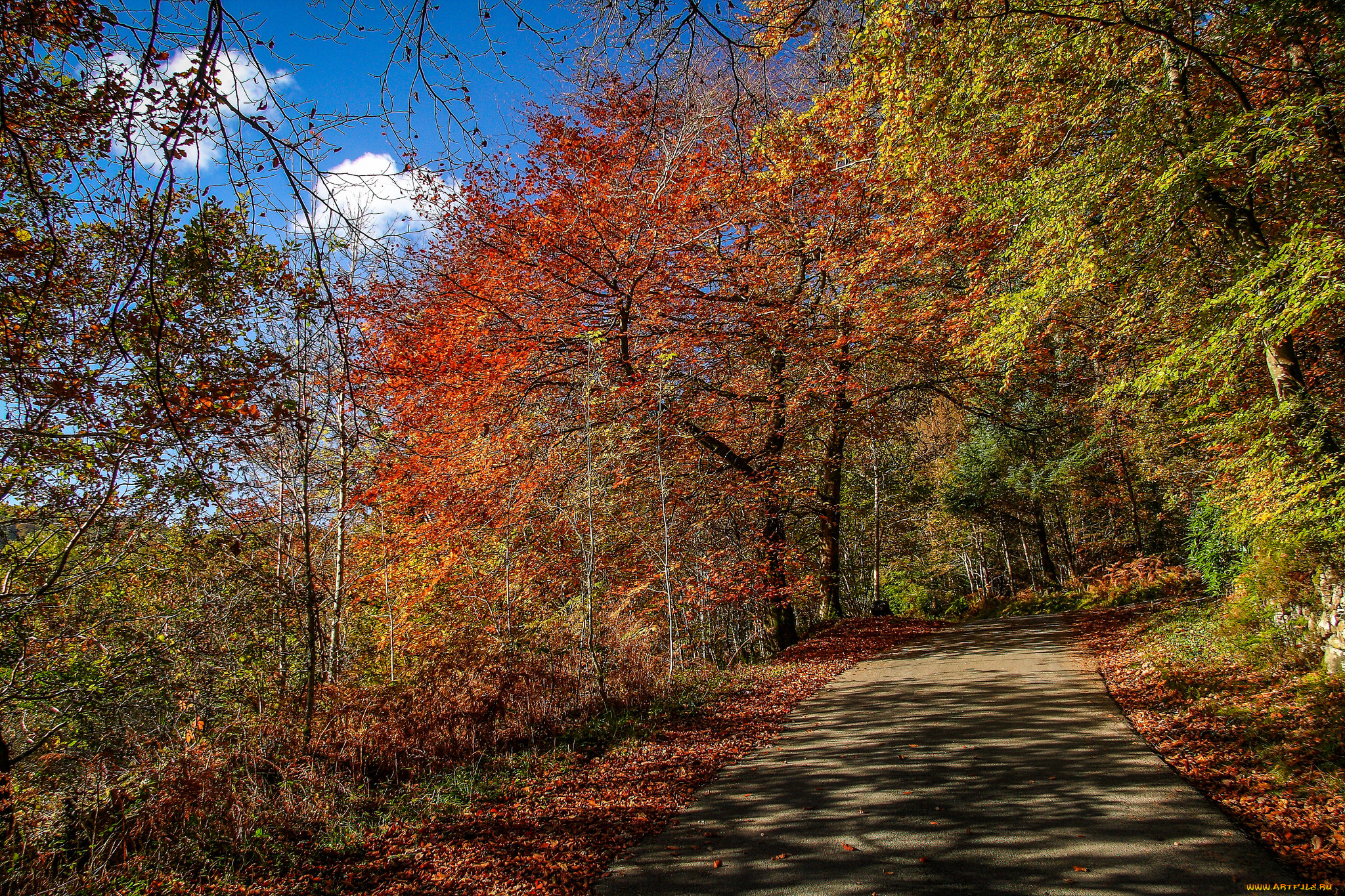 природа, дороги, простор