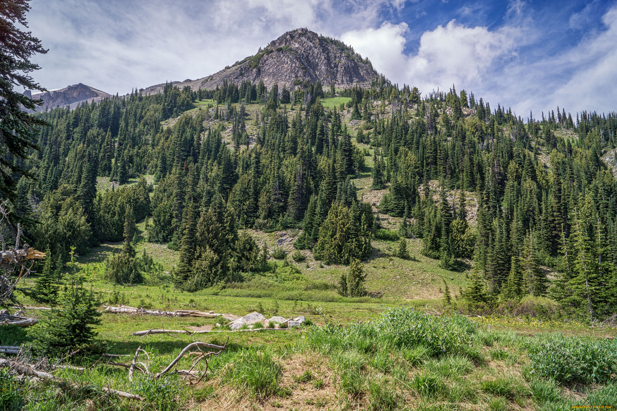 природа, горы, простор