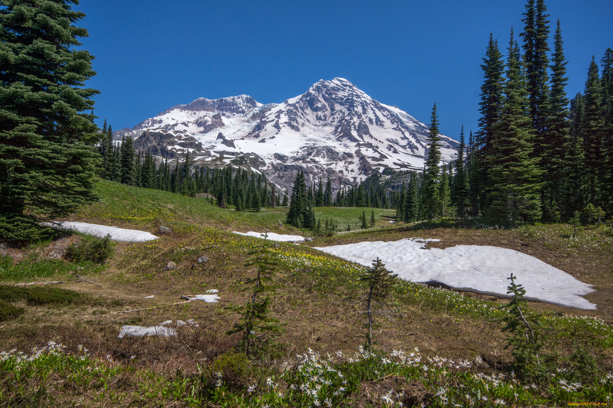 природа, горы, простор