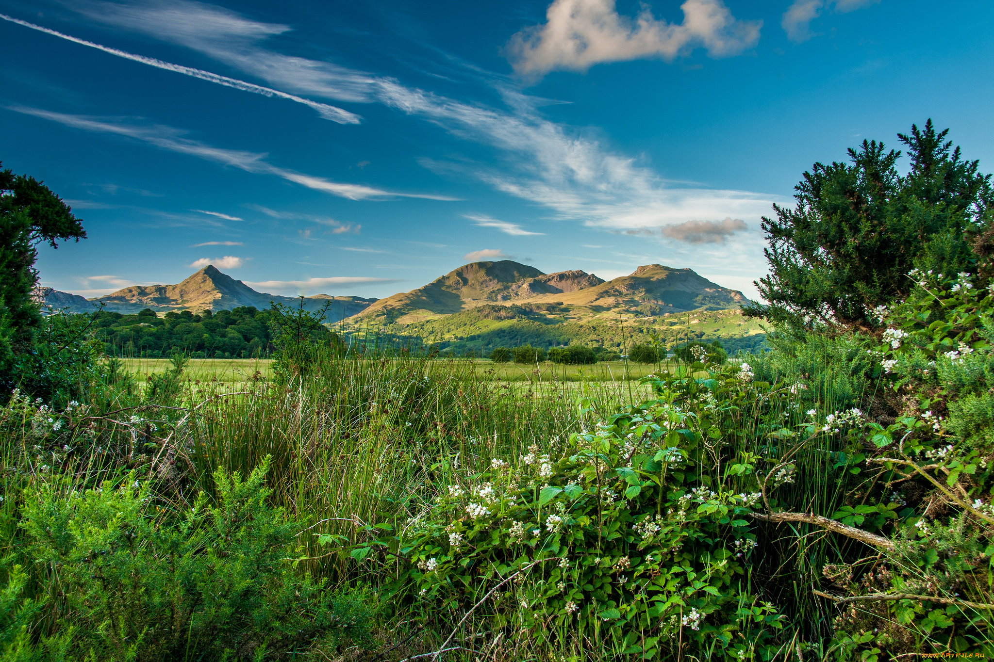природа, пейзажи, простор