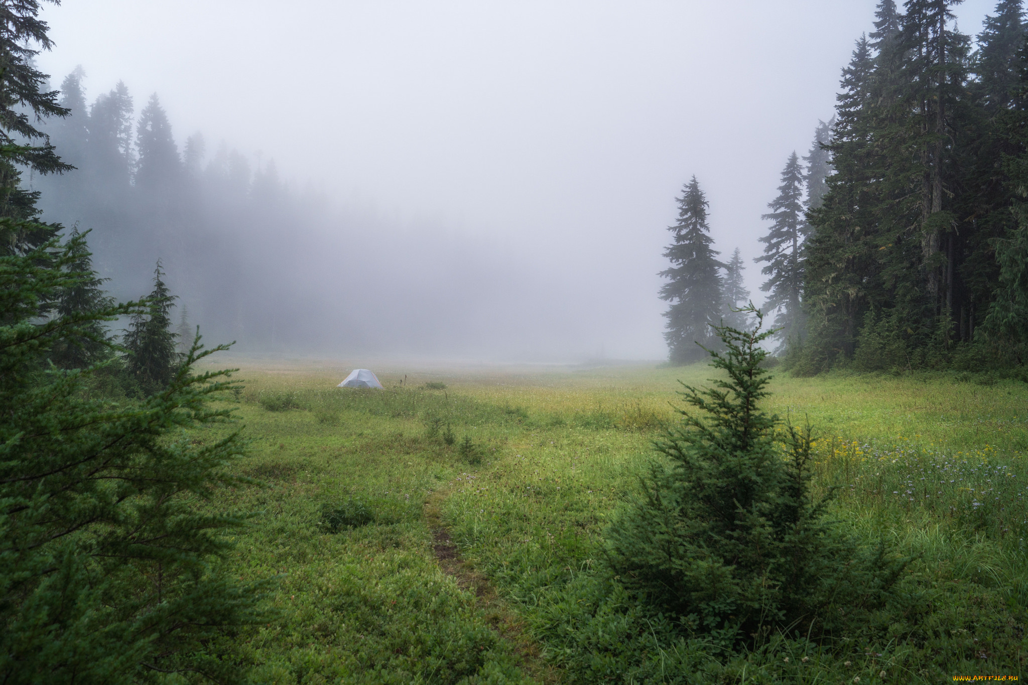 природа, пейзажи, простор