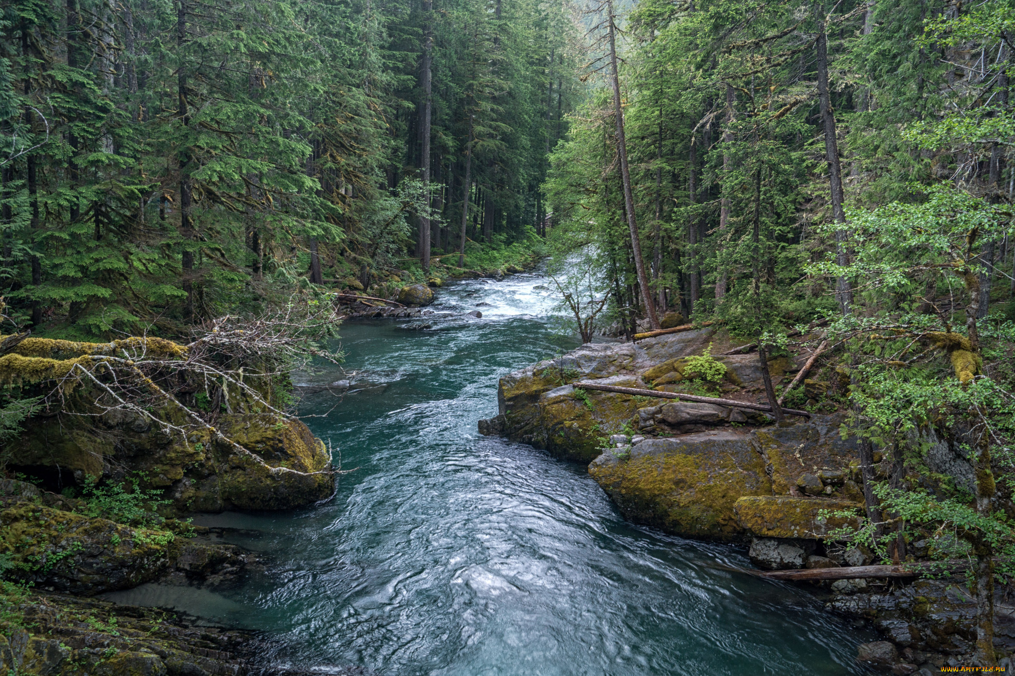 природа, реки, озера, простор