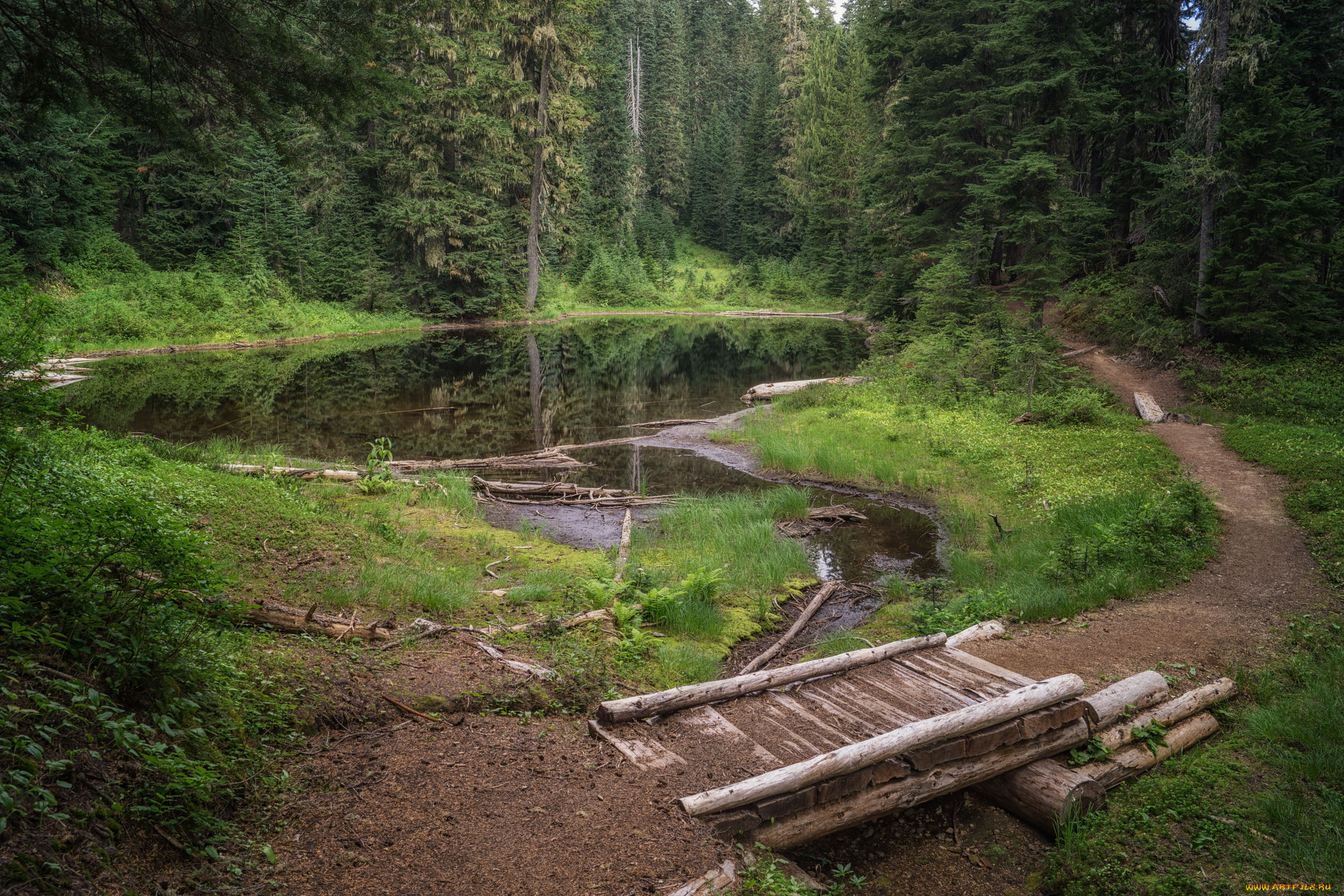 природа, реки, озера, простор