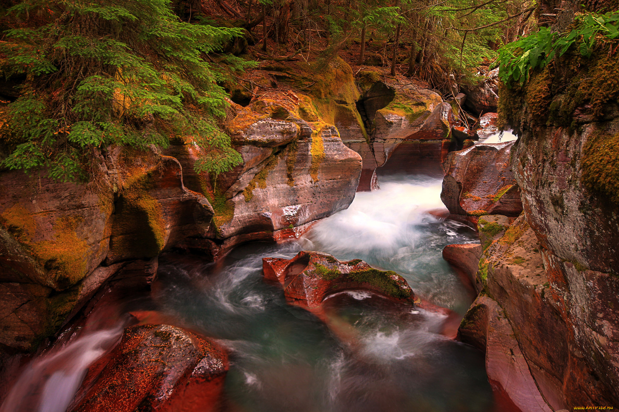 природа, реки, озера, простор