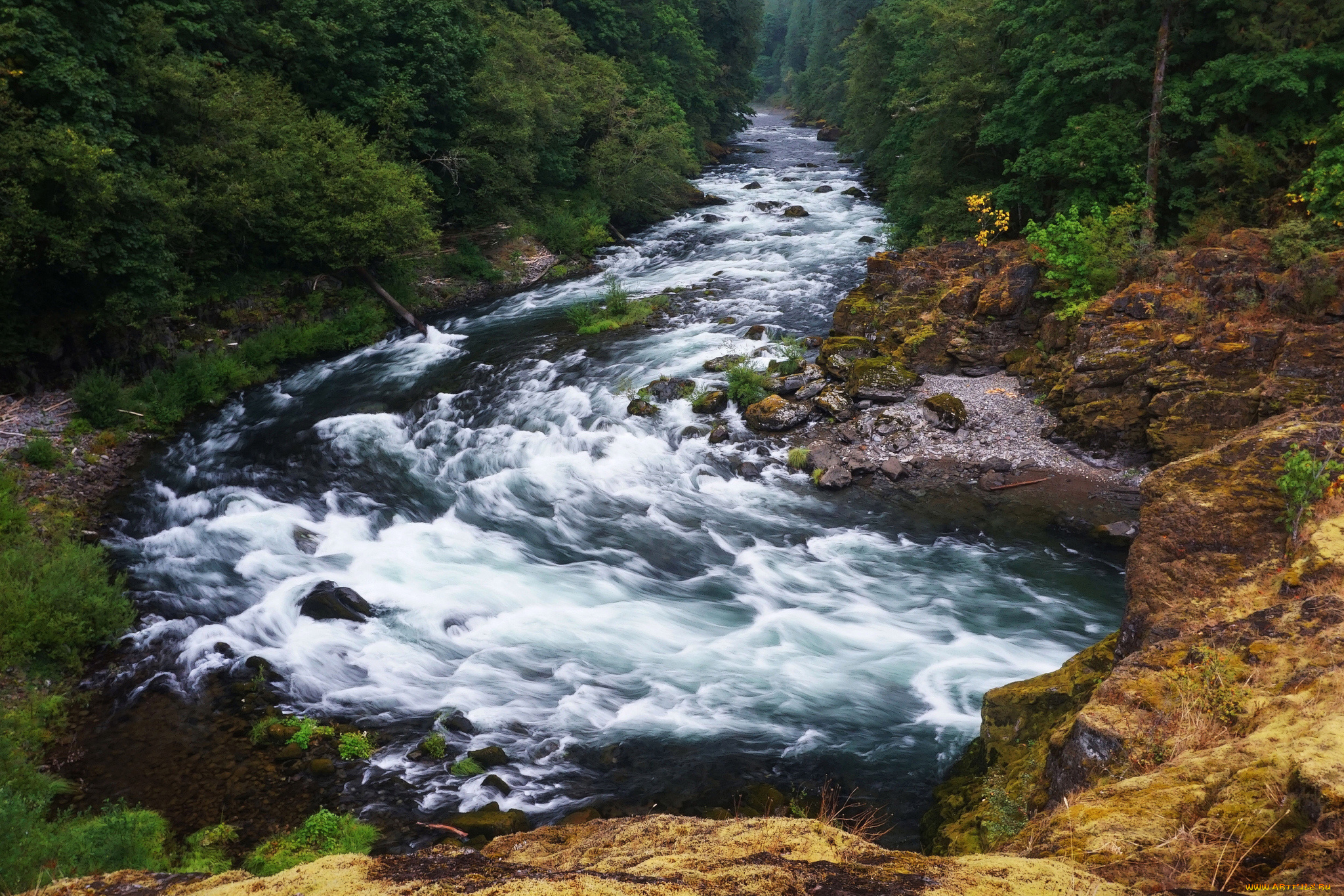 природа, реки, озера, простор