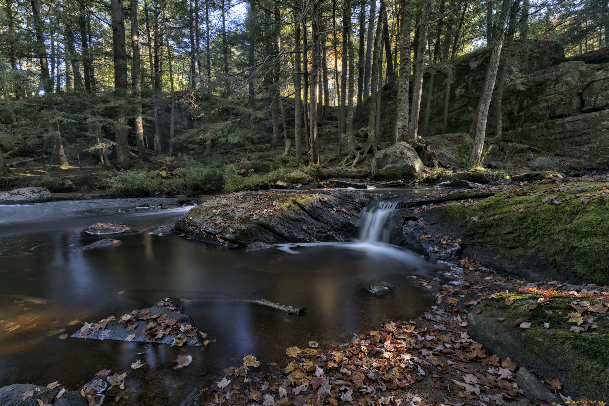 природа, реки, озера, простор