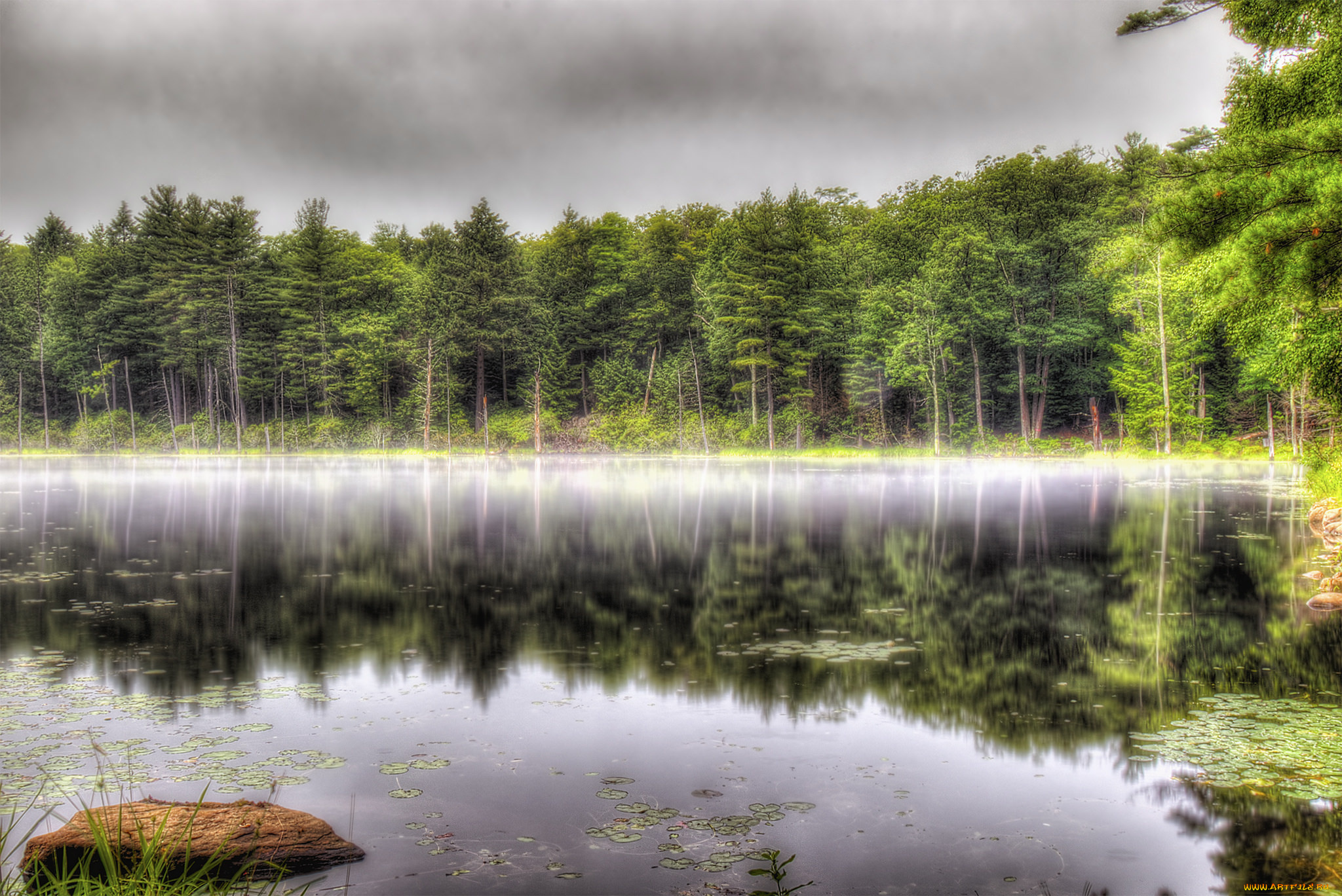 природа, реки, озера, простор