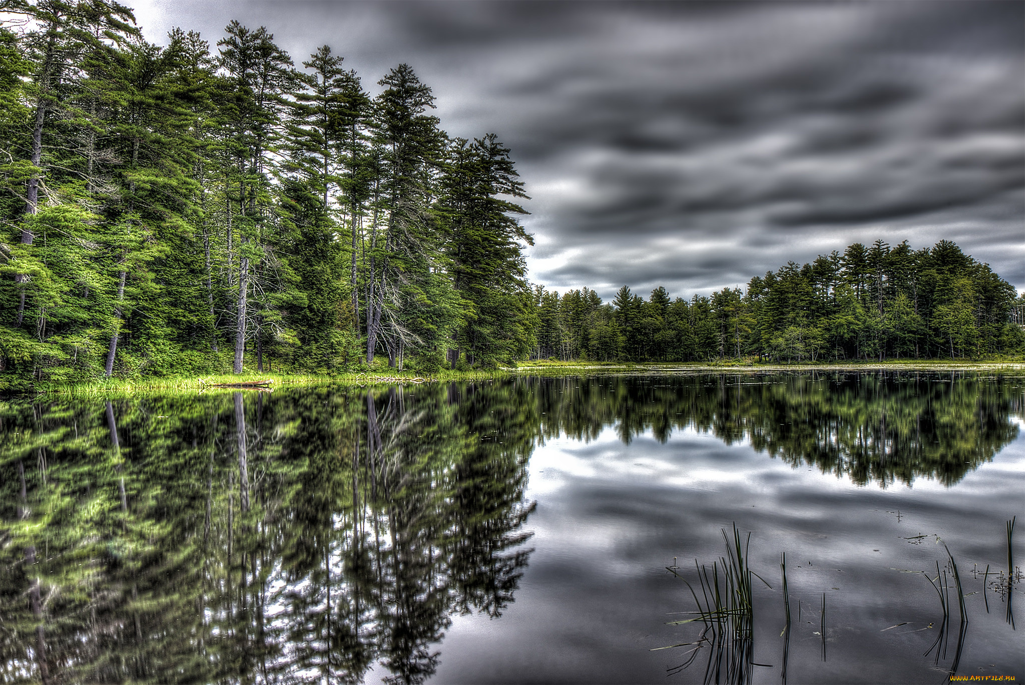 природа, реки, озера, простор