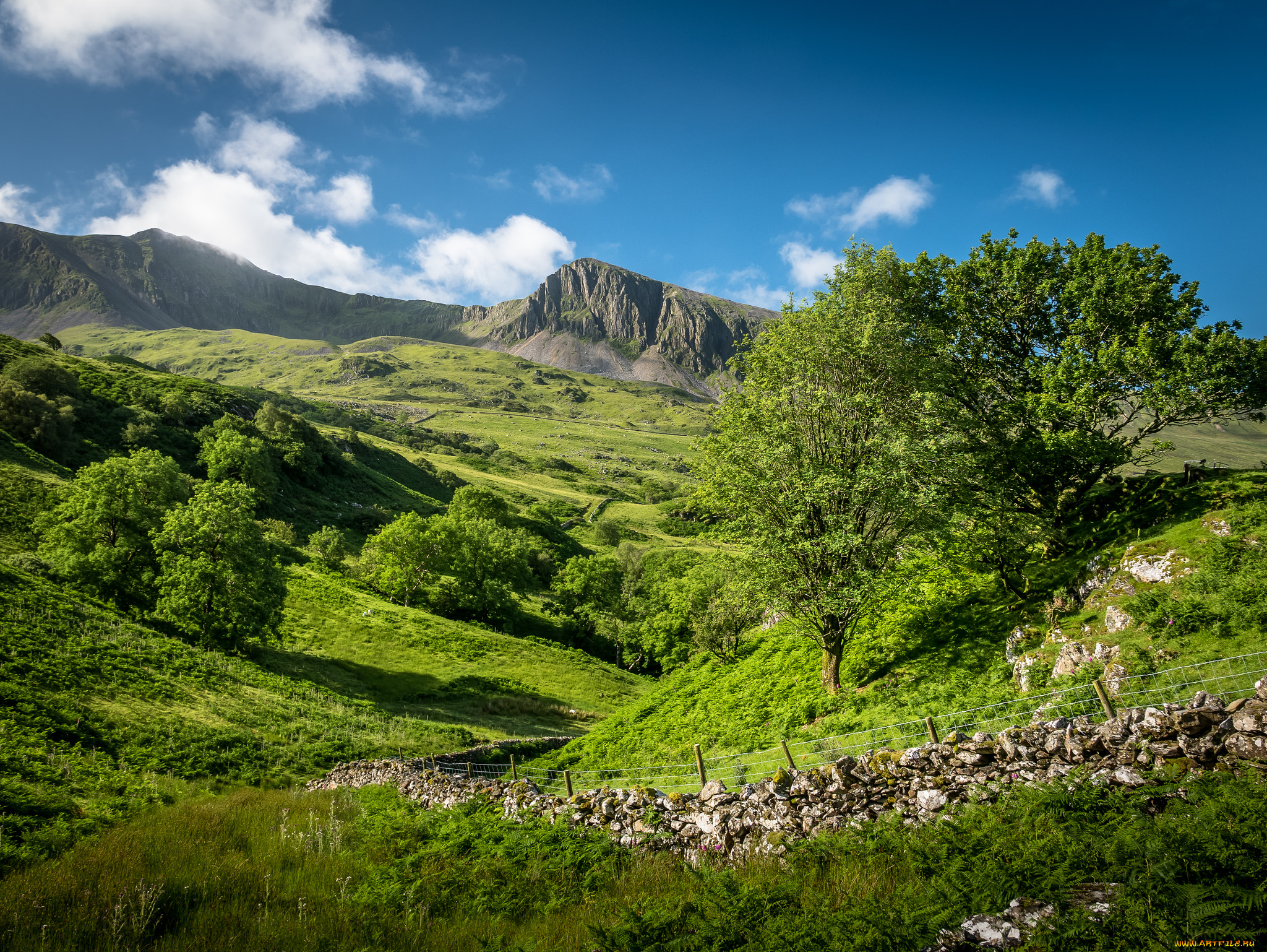 природа, пейзажи, простор