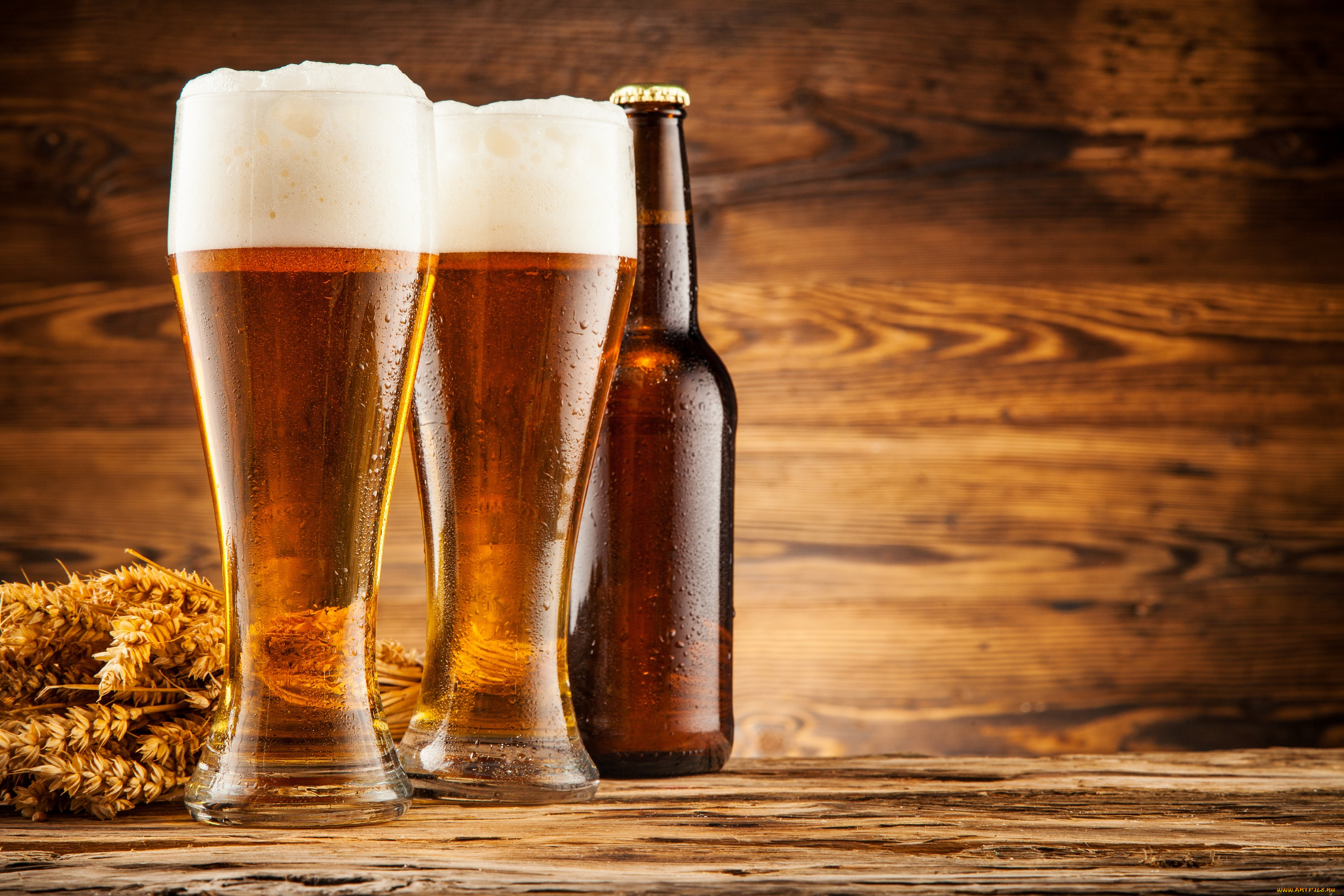 еда, напитки, , пиво, бокал, пшеница, пиво