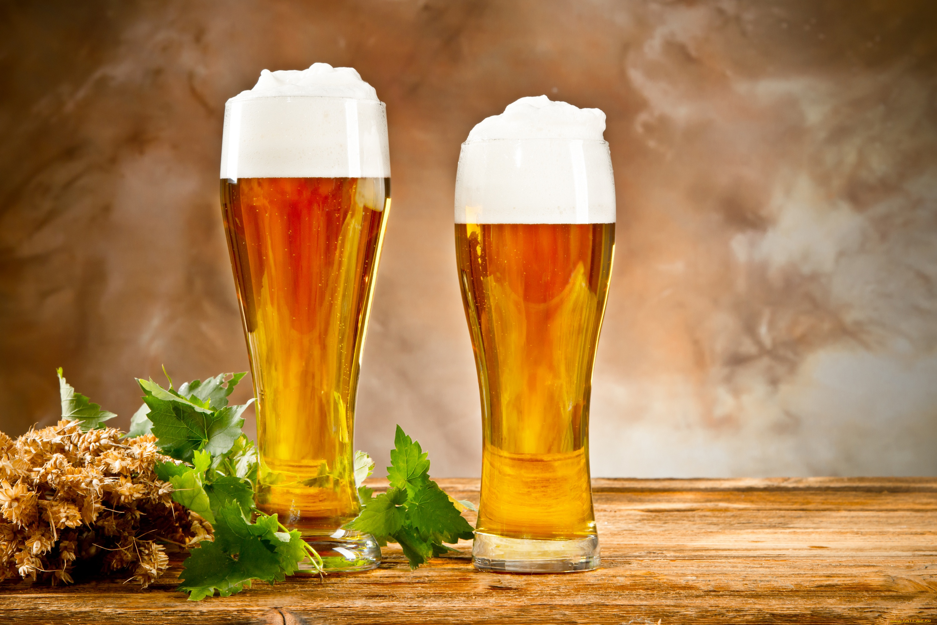 еда, напитки, , пиво, пиво, бокал, пшеница