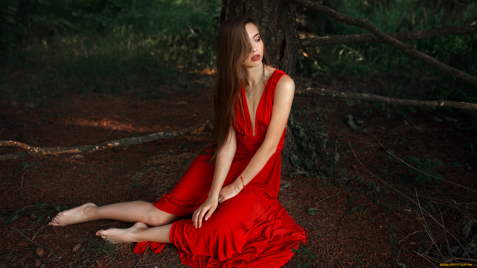 девушки, -unsort, , брюнетки, темноволосые, фон, взгляд, девушка