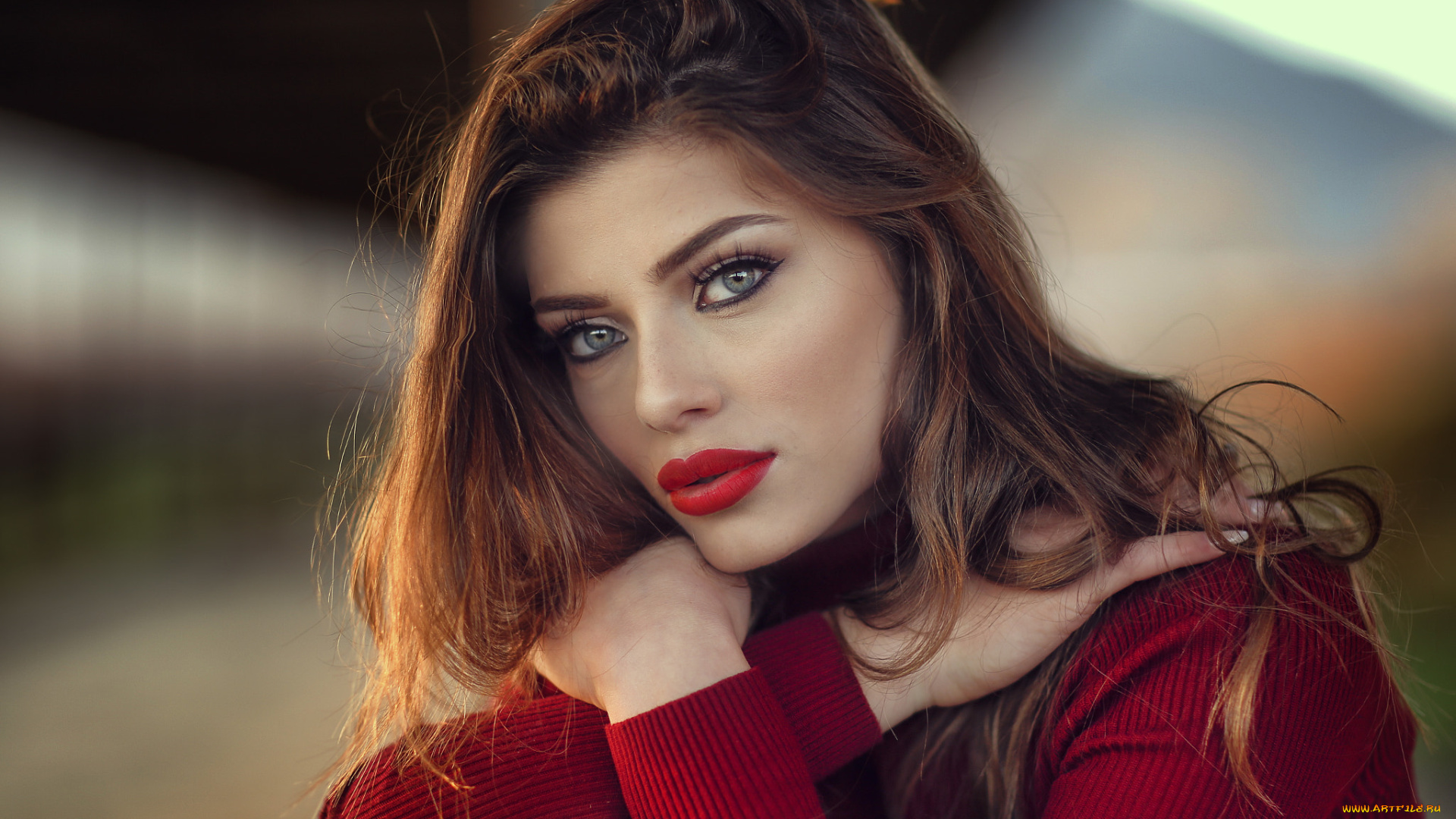 девушки, alessandro, di, cicco, лицо, шатенка, свитер, модель, margherita, sicignano