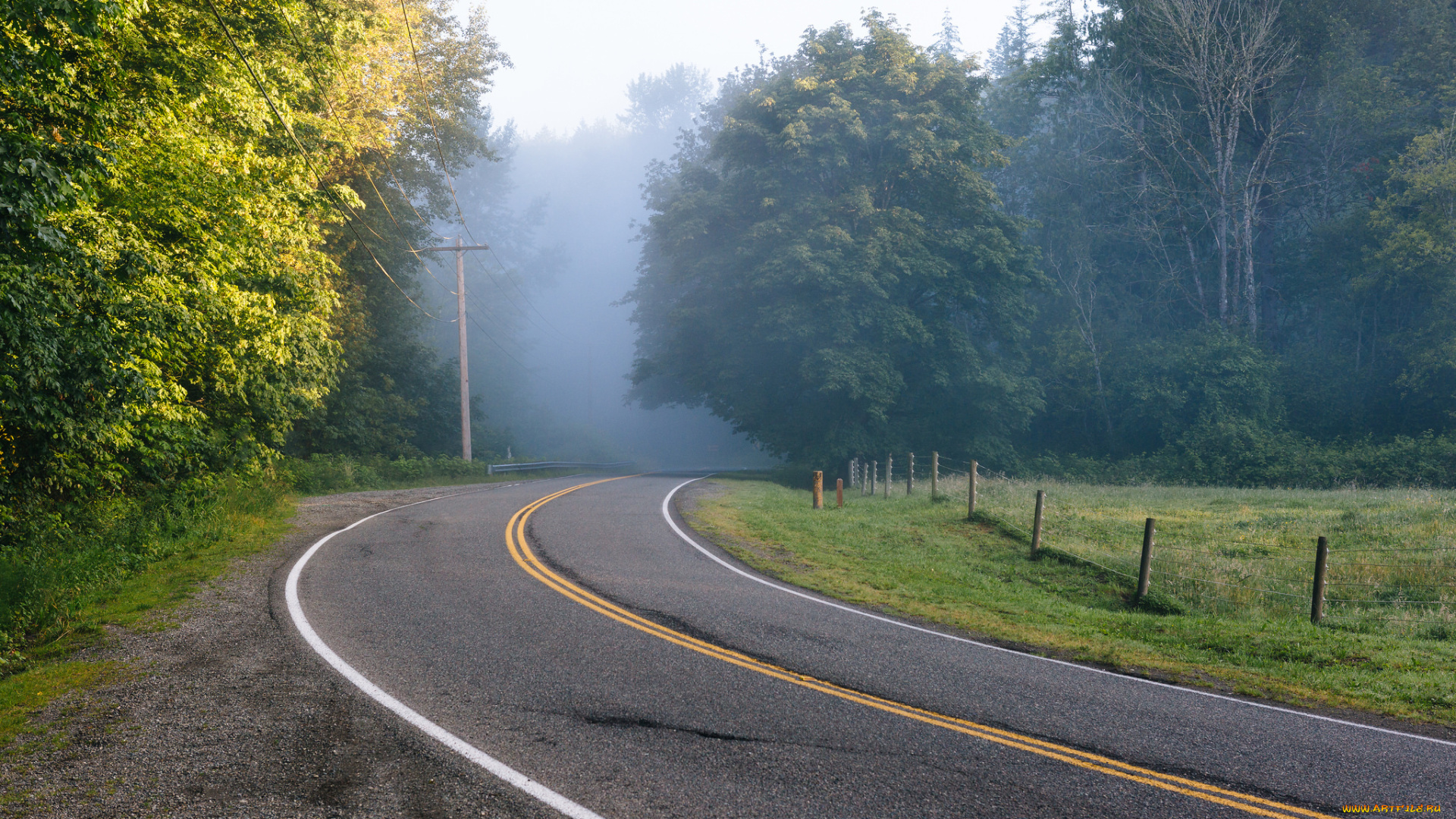 природа, дороги, поворот, утро, дорога