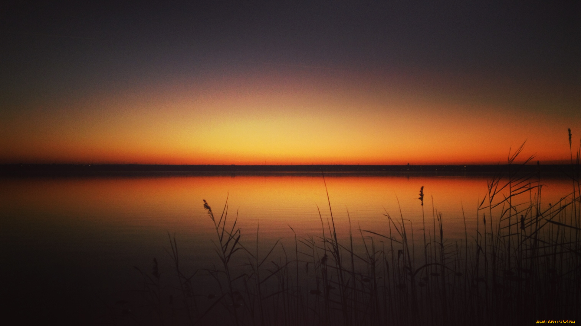 природа, восходы, закаты, камыши, озеро, горизонт, закат