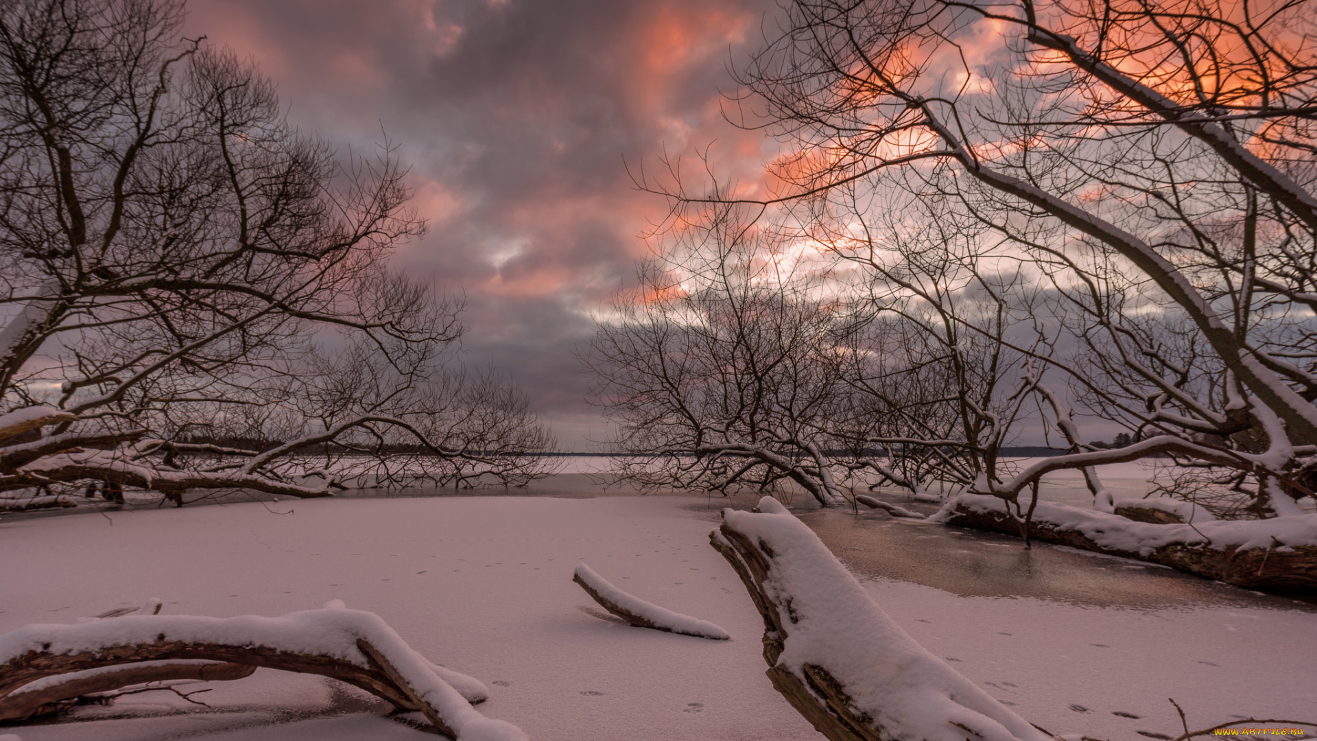 природа, зима, снег