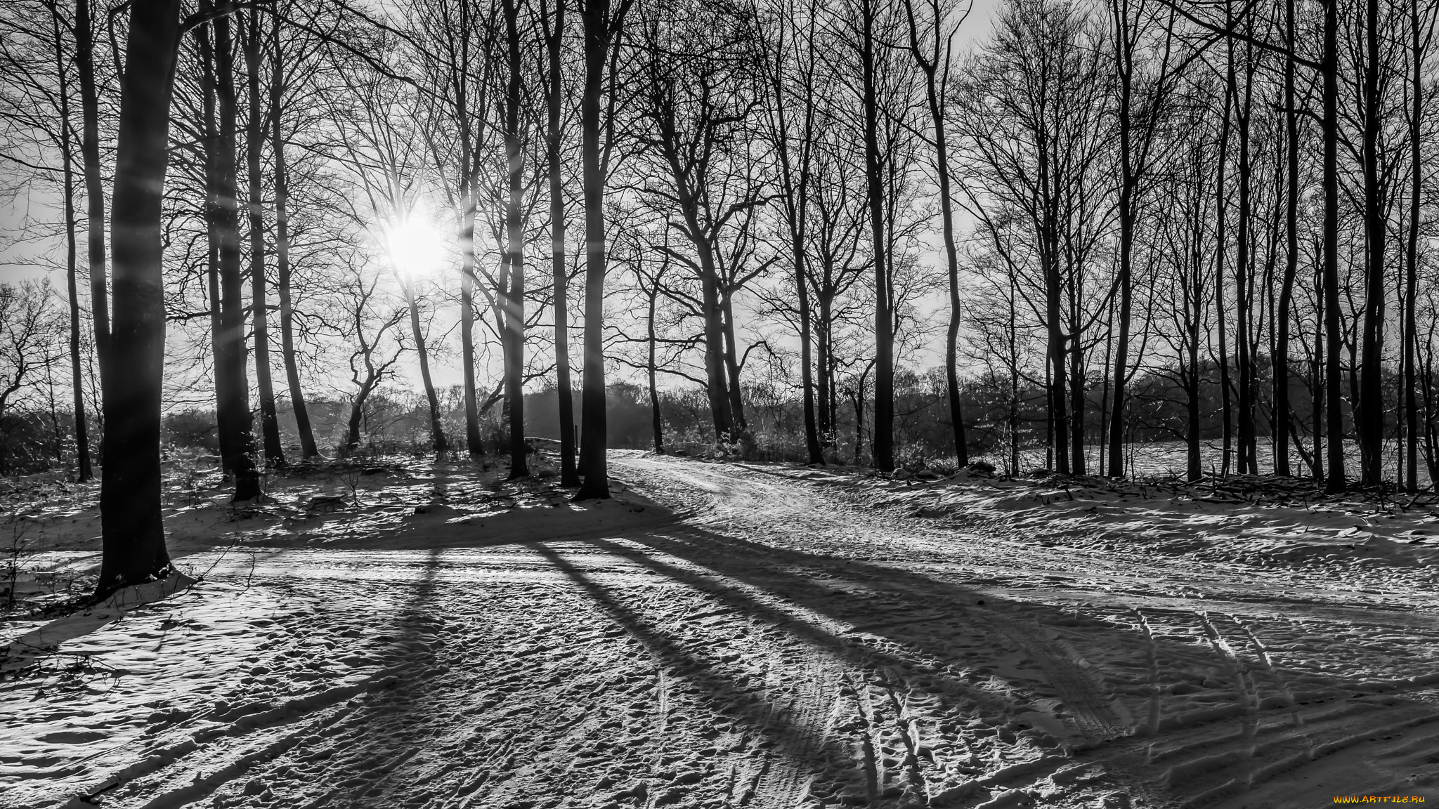 природа, зима, снег