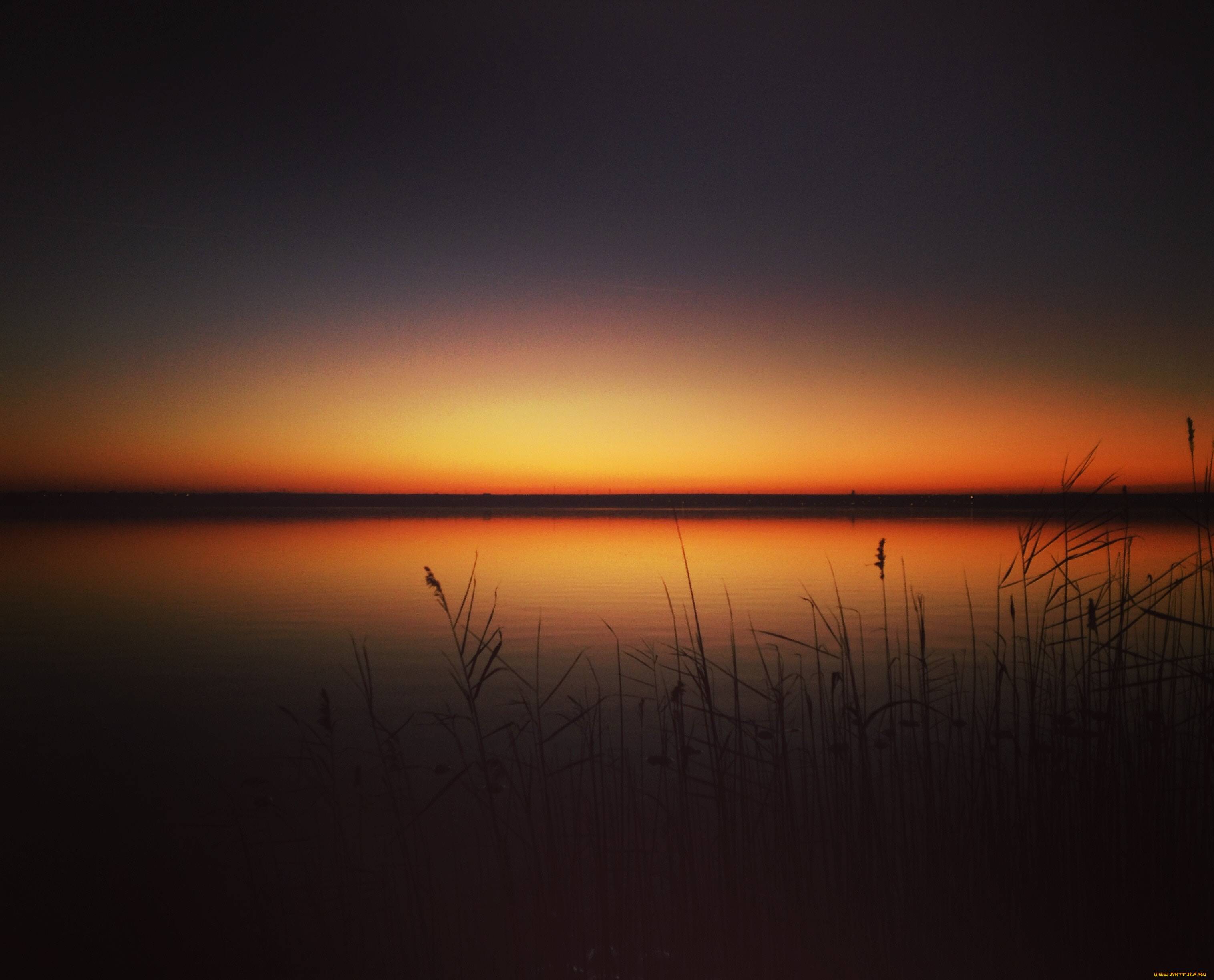 природа, восходы, закаты, камыши, озеро, горизонт, закат