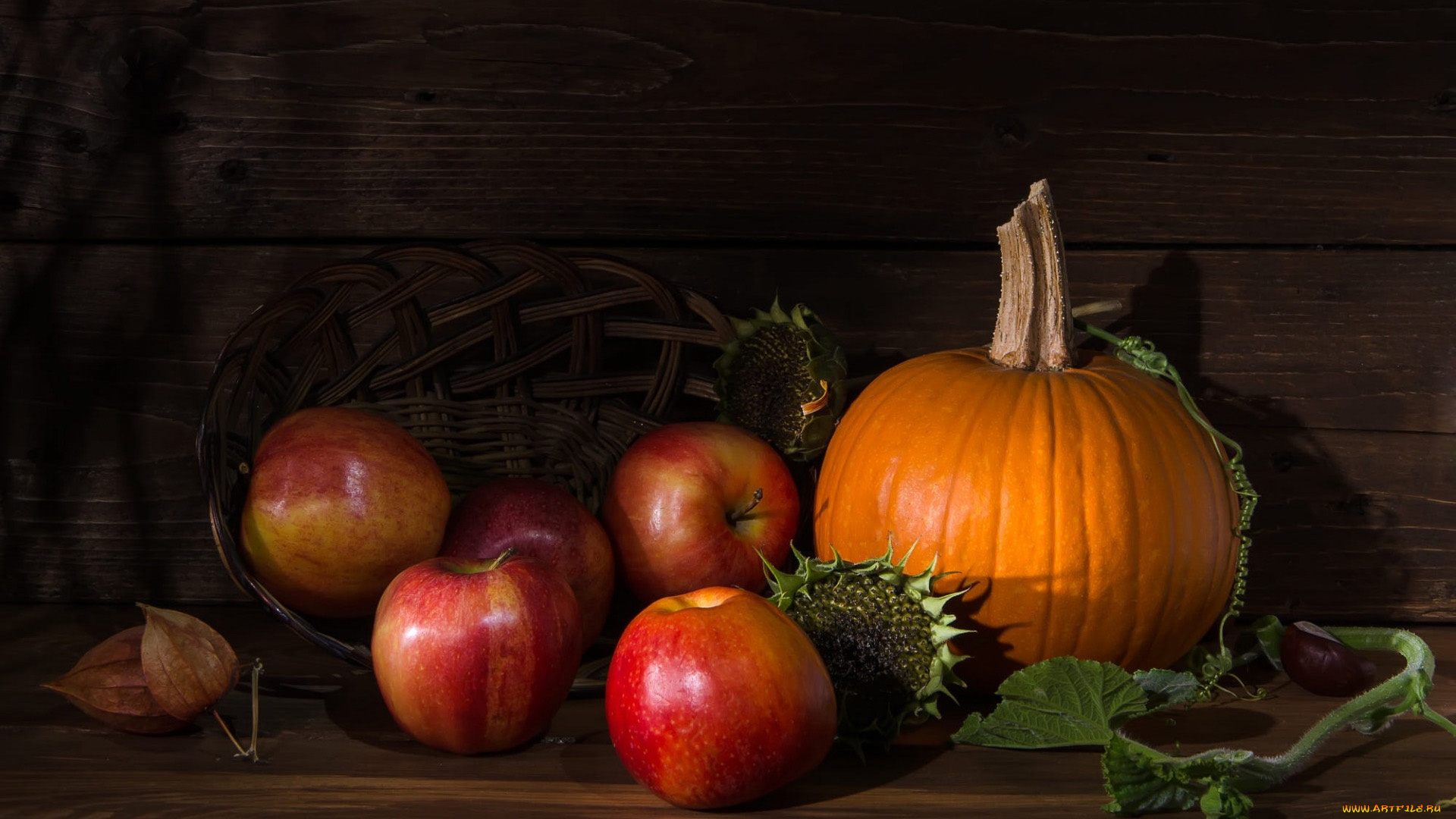 еда, фрукты, и, овощи, вместе, яблоки, физалис, тыква, подсолнухи