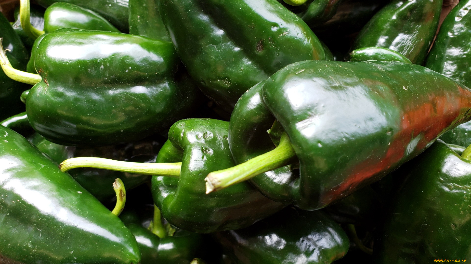 еда, перец, стручки, зеленый