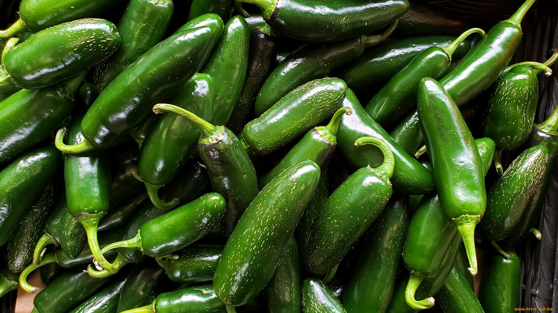 еда, перец, зеленый, стручки