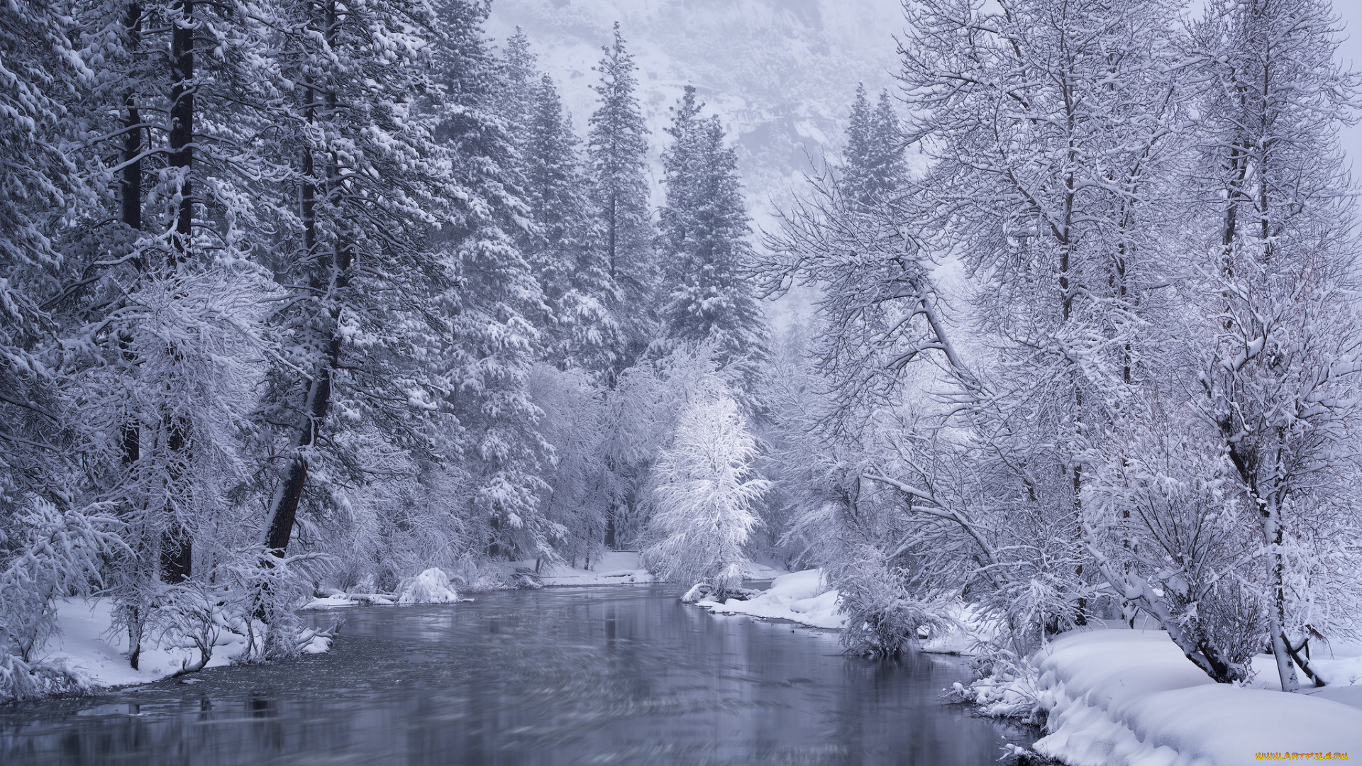 природа, реки, озера, простор